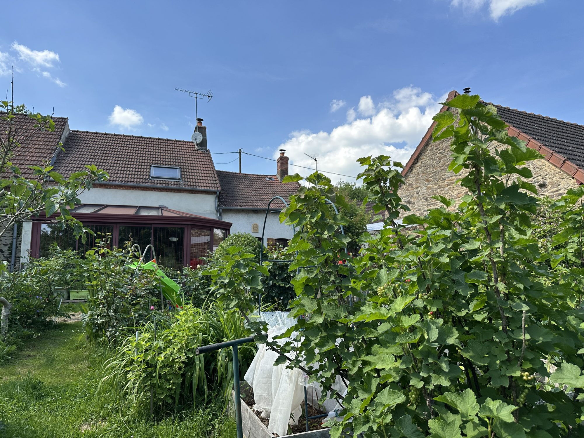 Photo 30 — HORIZON SUD BERRY IMMOBILIER - Châtre