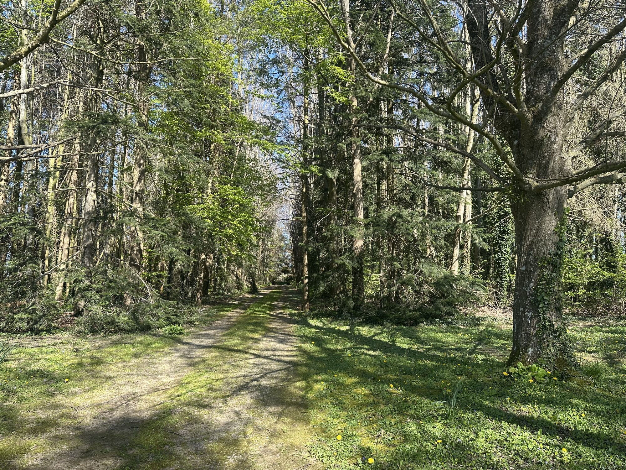 Photo 21 — HORIZON SUD BERRY IMMOBILIER - Châtre