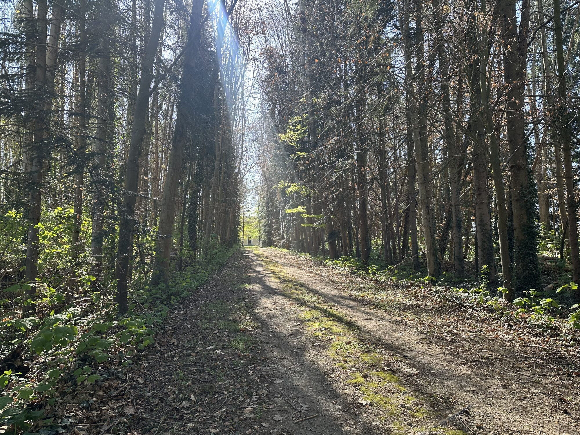 Photo 7 — HORIZON SUD BERRY IMMOBILIER - Châtre