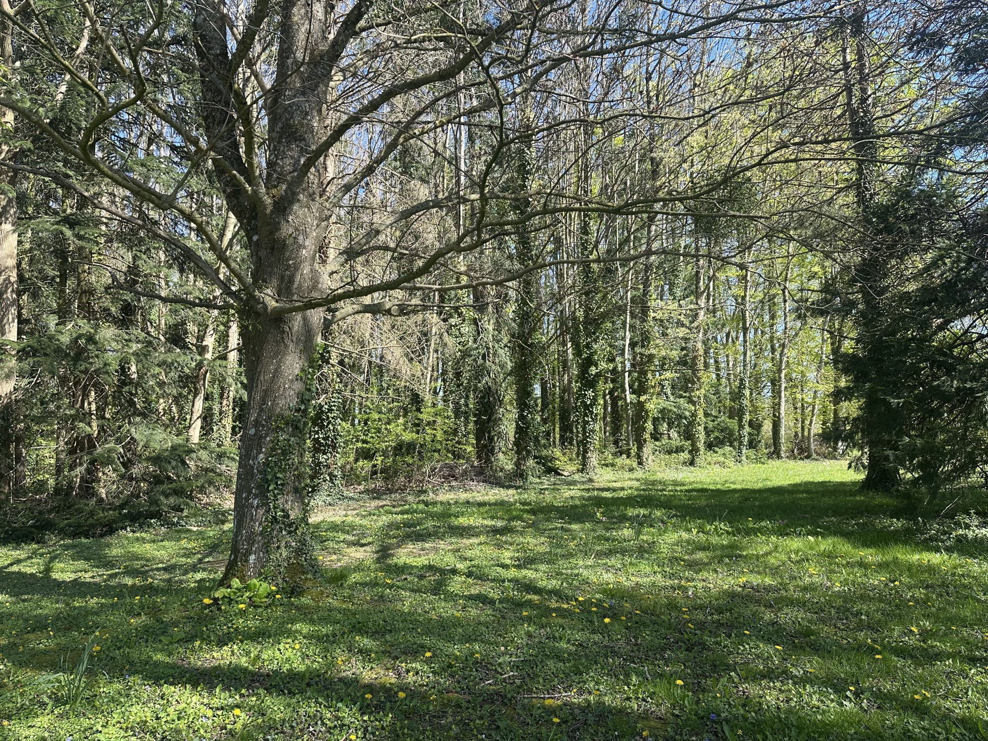 Photo 4 — HORIZON SUD BERRY IMMOBILIER - Châtre