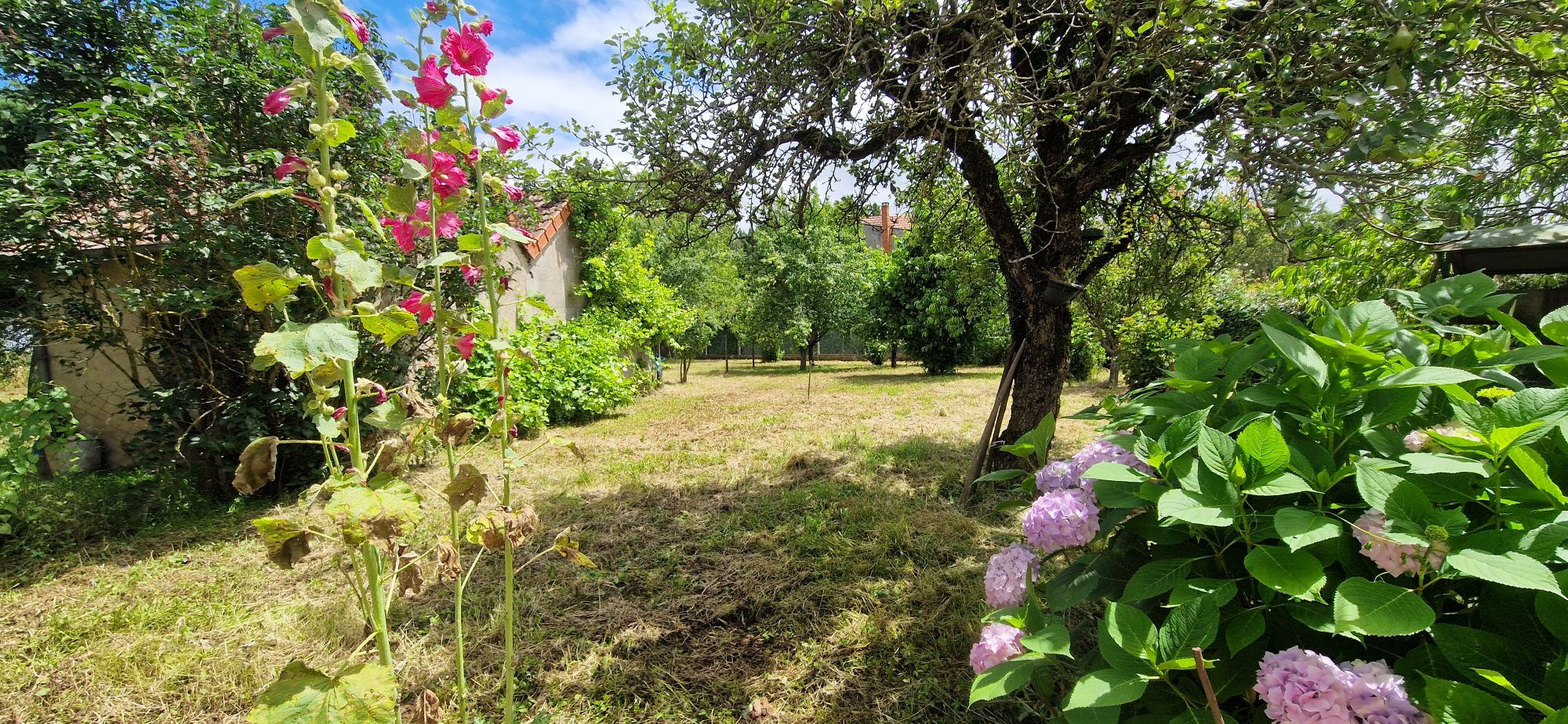 Photo 2 — HORIZON SUD BERRY IMMOBILIER - Châtre