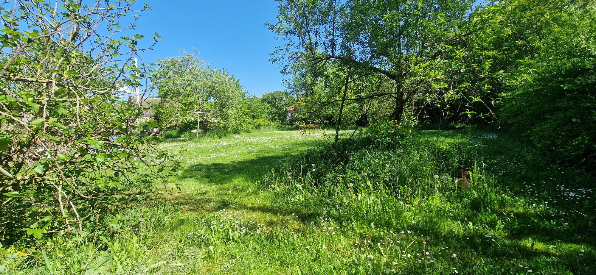 Photo 16 — HORIZON SUD BERRY IMMOBILIER - Châtre