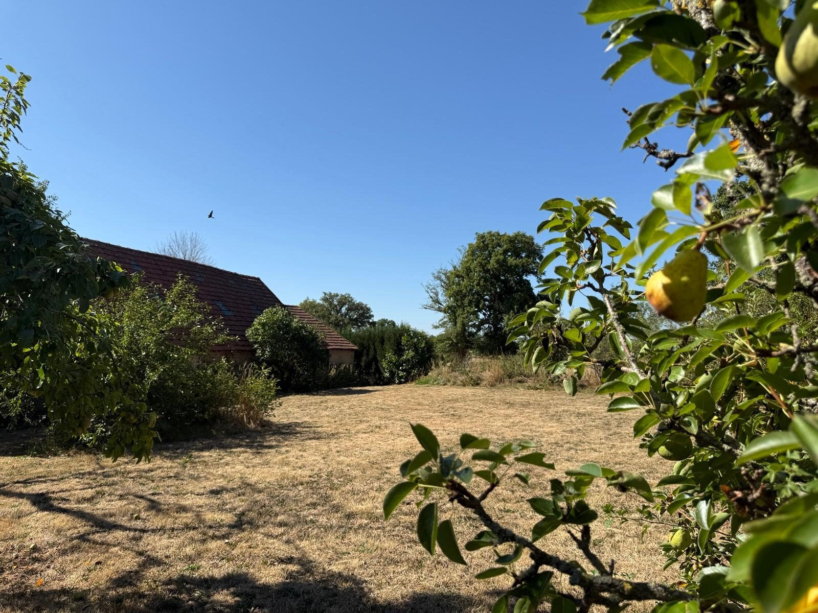Photo 20 — HORIZON SUD BERRY IMMOBILIER - Châtre