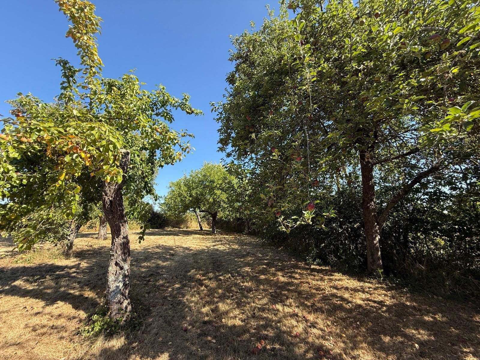 Photo 13 — HORIZON SUD BERRY IMMOBILIER - Châtre