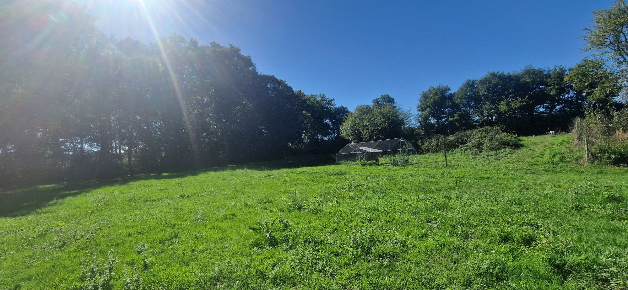 Photo 16 — HORIZON SUD BERRY IMMOBILIER - Châtre