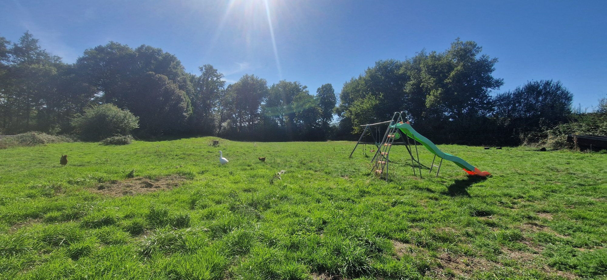 Photo 3 — HORIZON SUD BERRY IMMOBILIER - Châtre