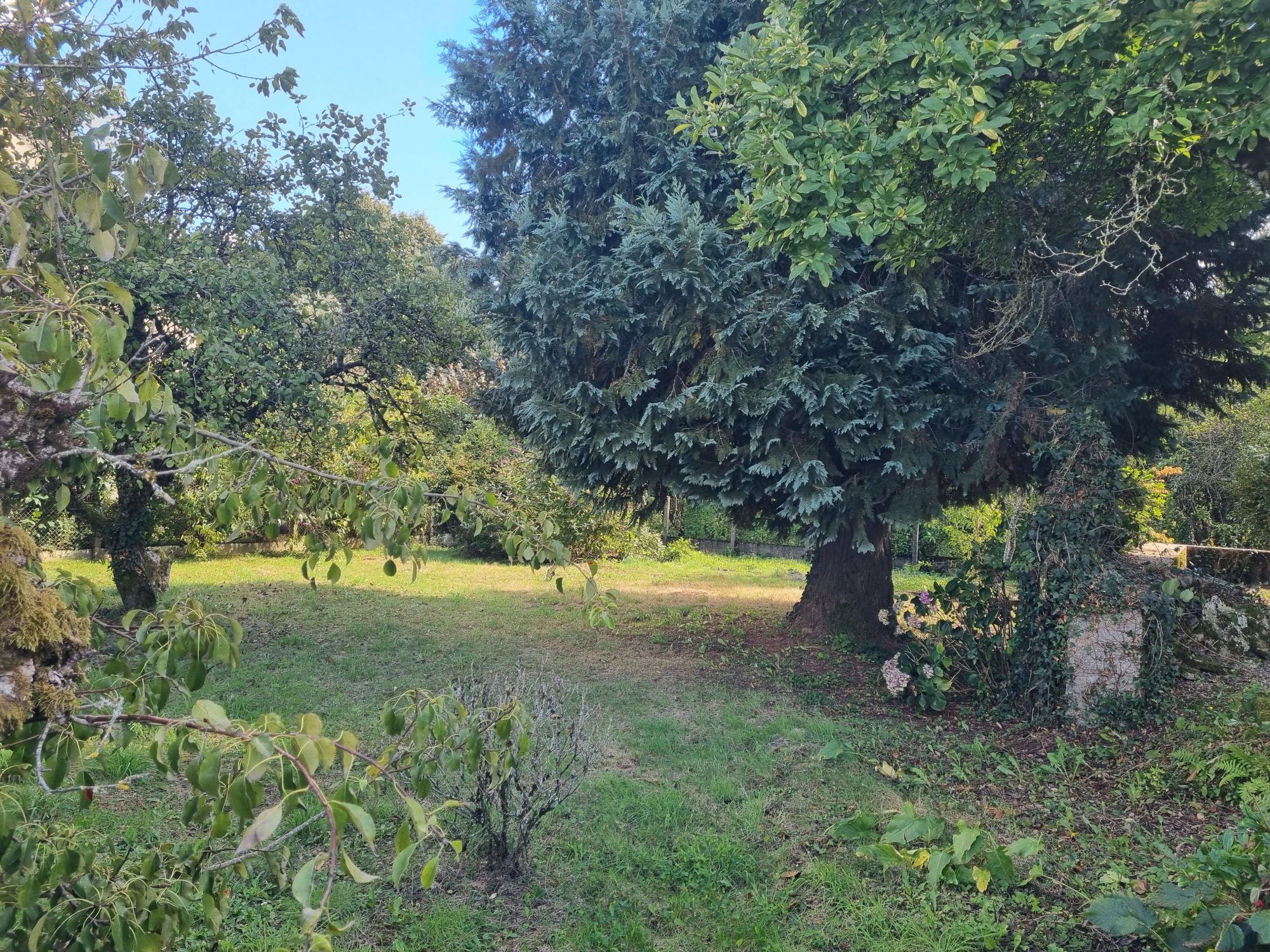 Photo 20 — HORIZON SUD BERRY IMMOBILIER - Châtre