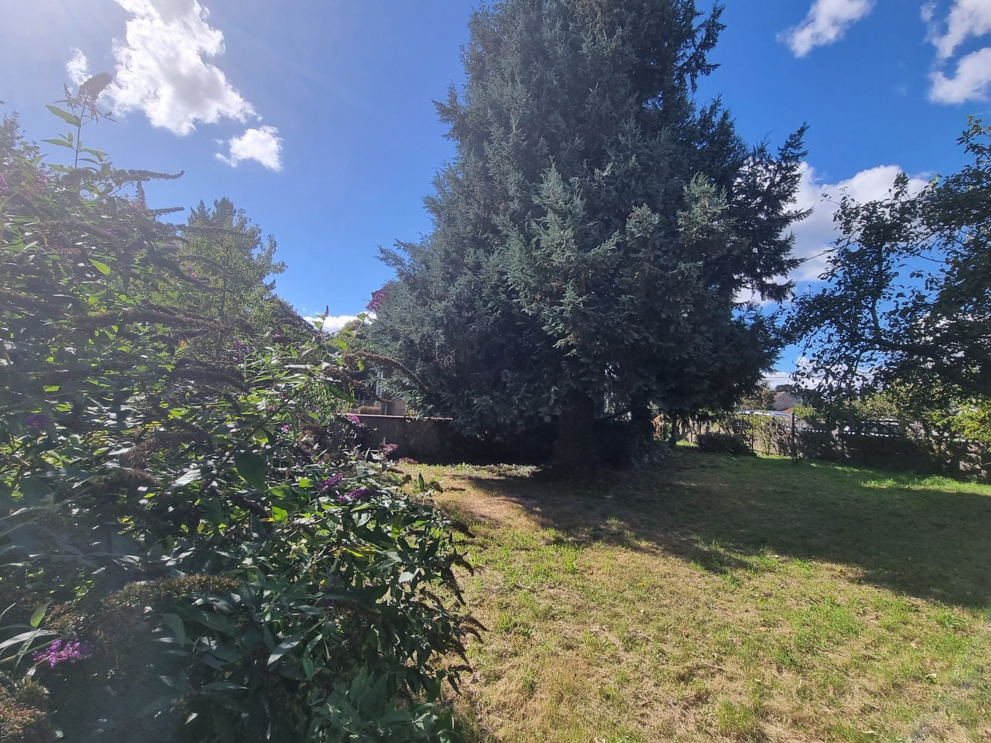 Photo 18 — HORIZON SUD BERRY IMMOBILIER - Châtre