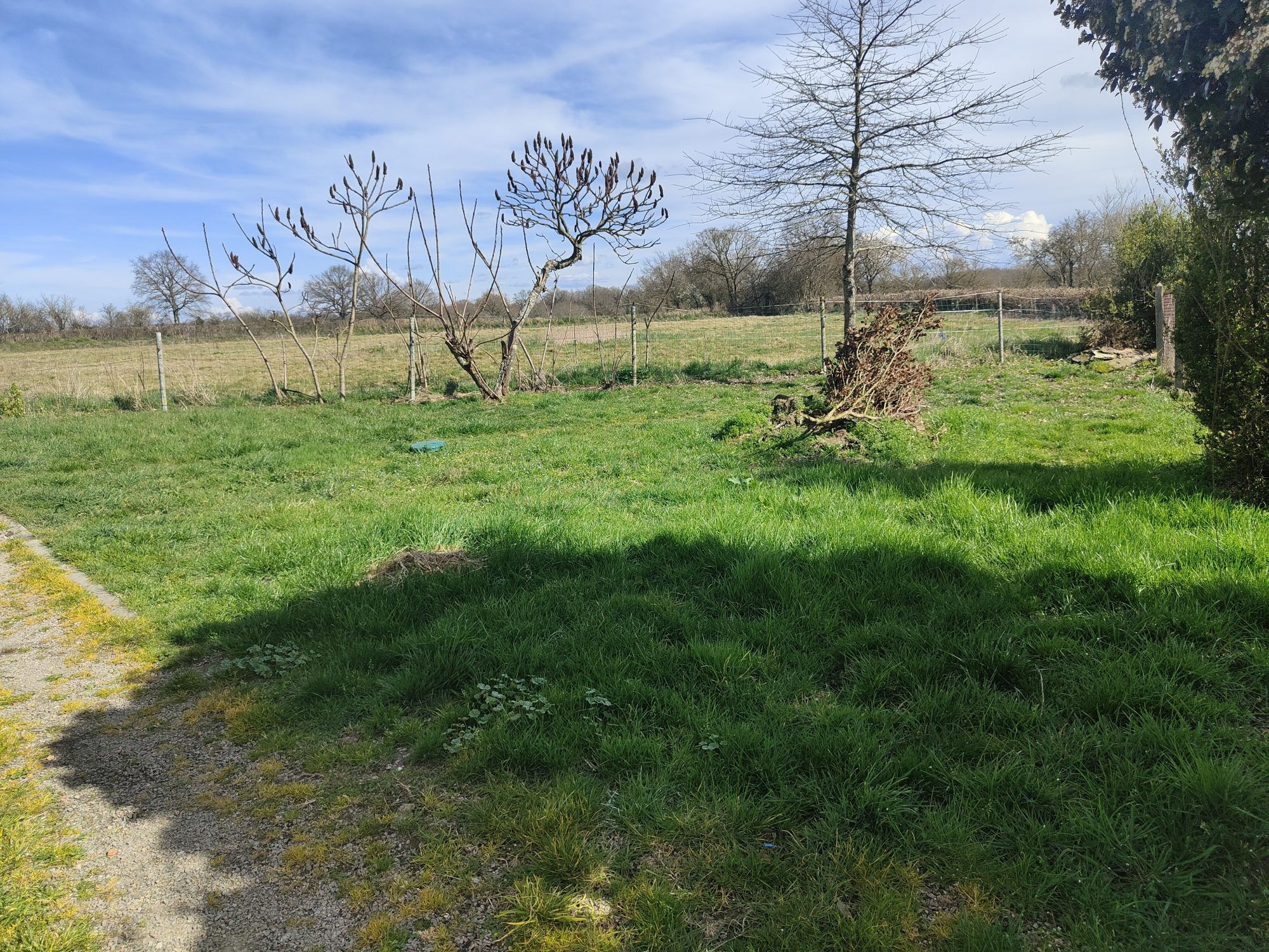 Photo 2 — HORIZON SUD BERRY IMMOBILIER - Châtre