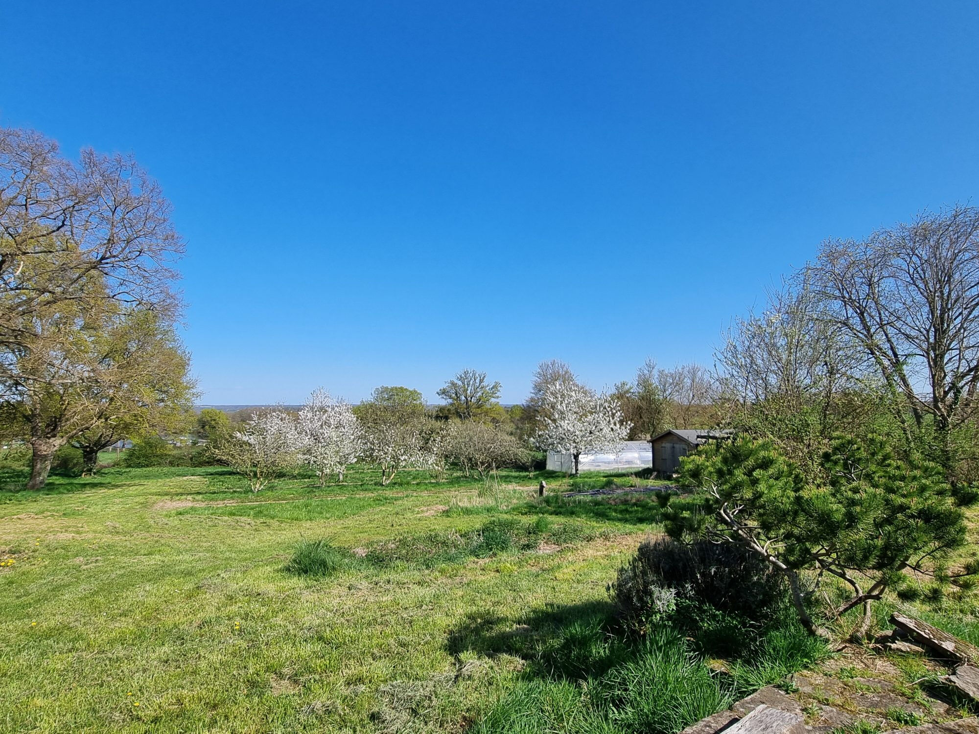 Photo 16 — HORIZON SUD BERRY IMMOBILIER - Châtre