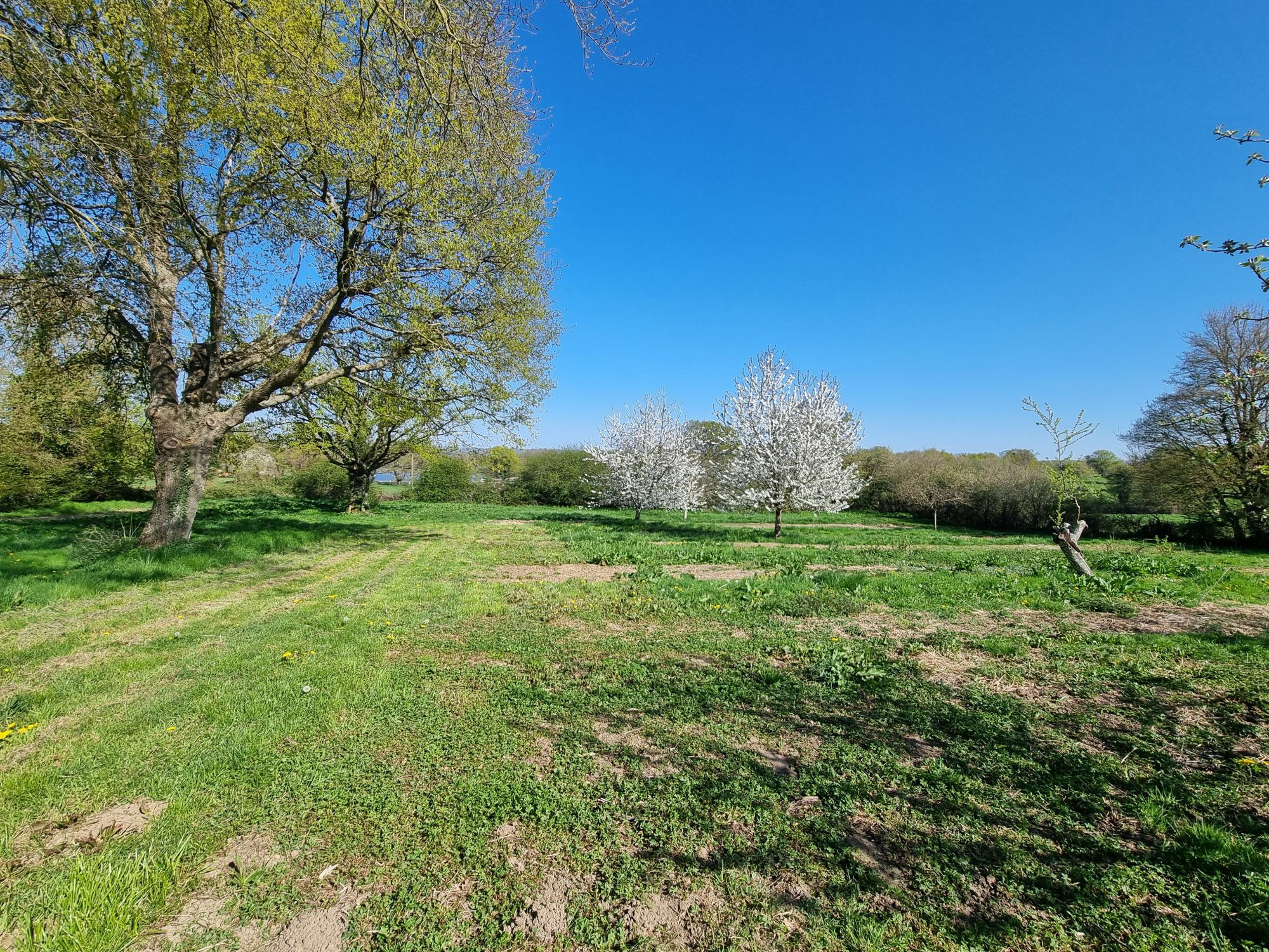 Photo 17 — HORIZON SUD BERRY IMMOBILIER - Châtre