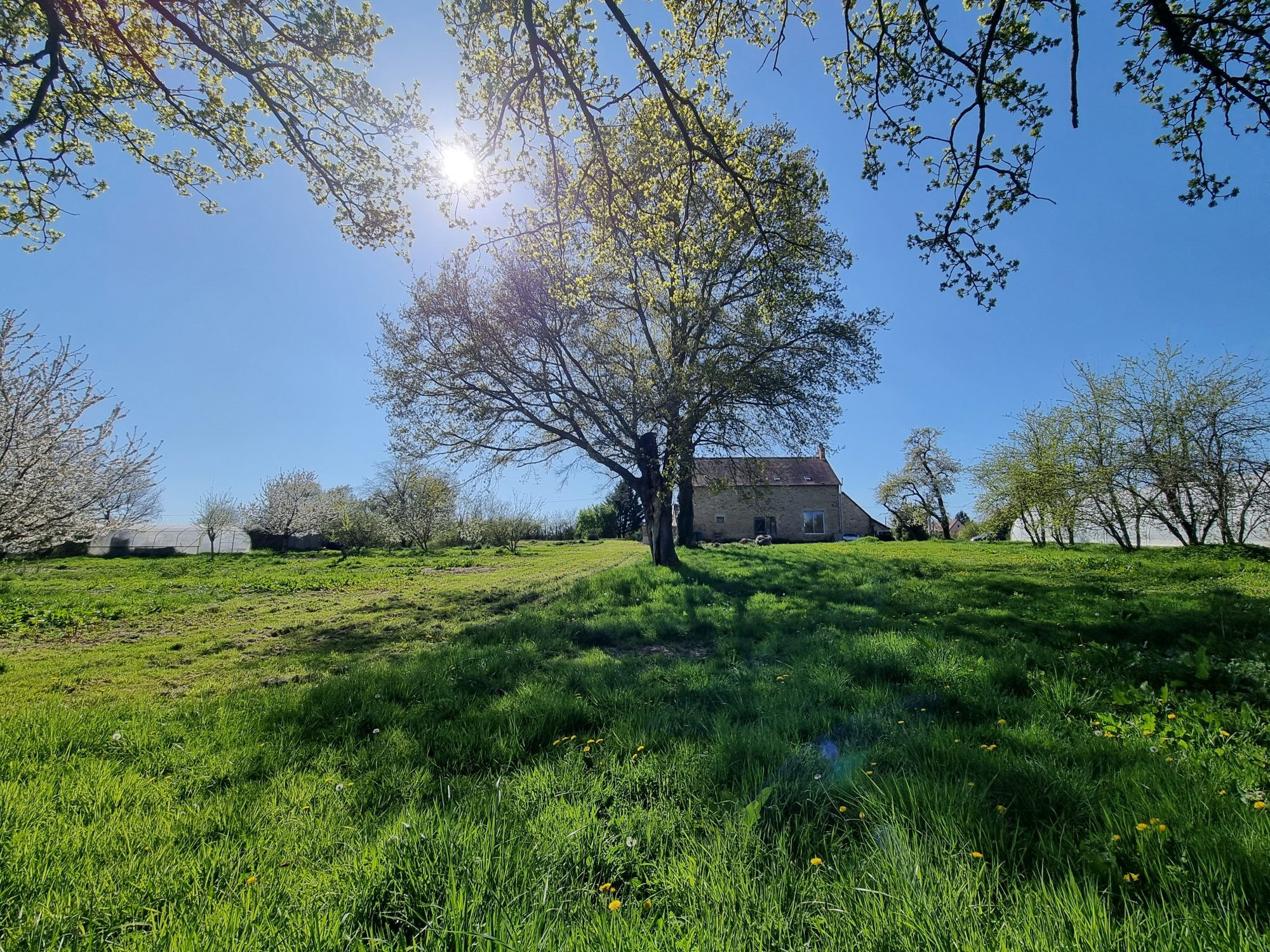 Photo 18 — HORIZON SUD BERRY IMMOBILIER - Châtre