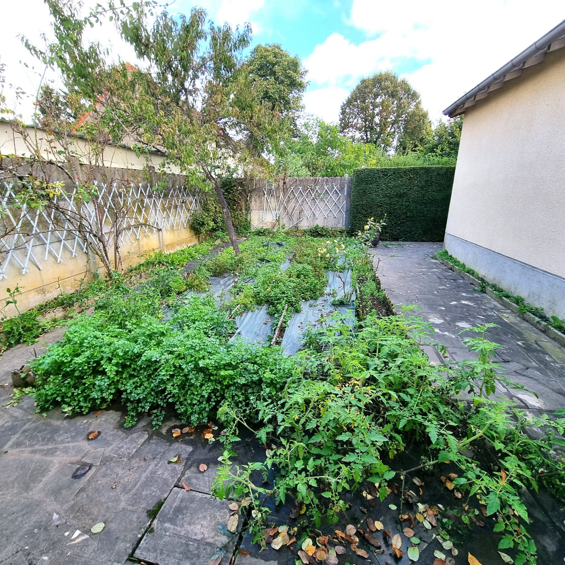 Photo 14 — HORIZON SUD BERRY IMMOBILIER - Châtre