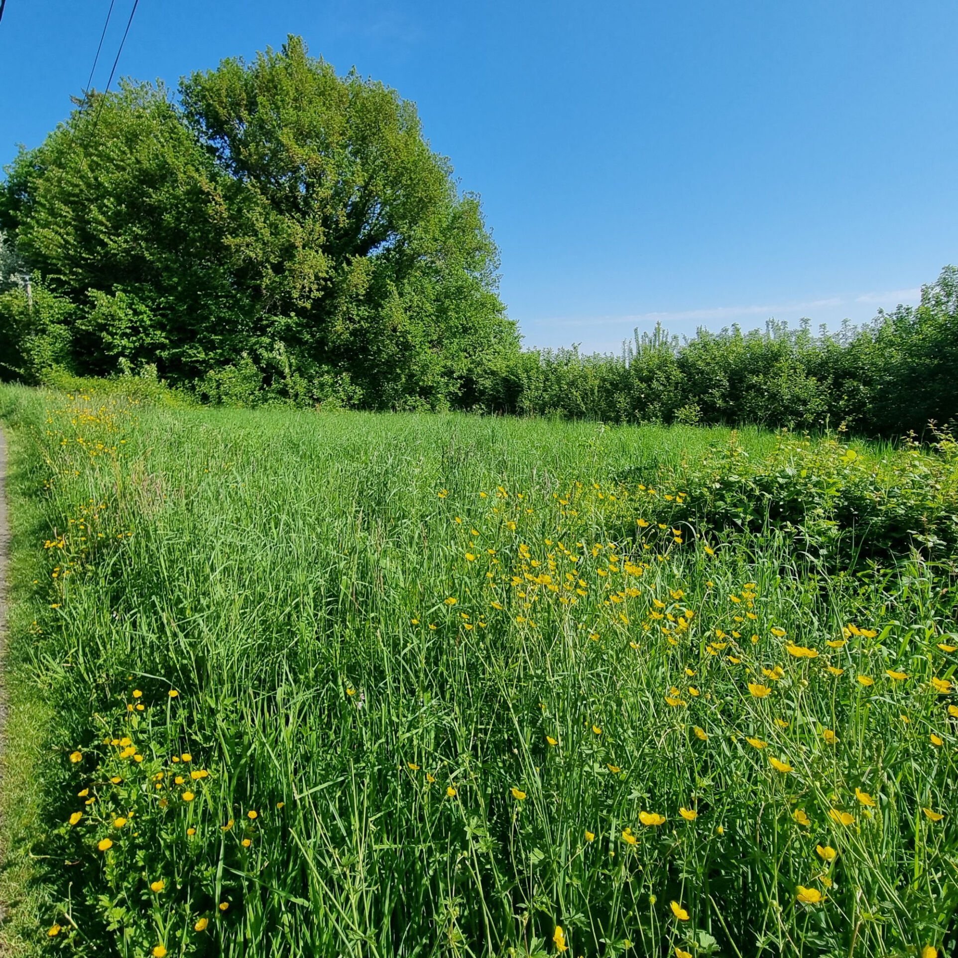 Photo 18 — HORIZON SUD BERRY IMMOBILIER - Châtre