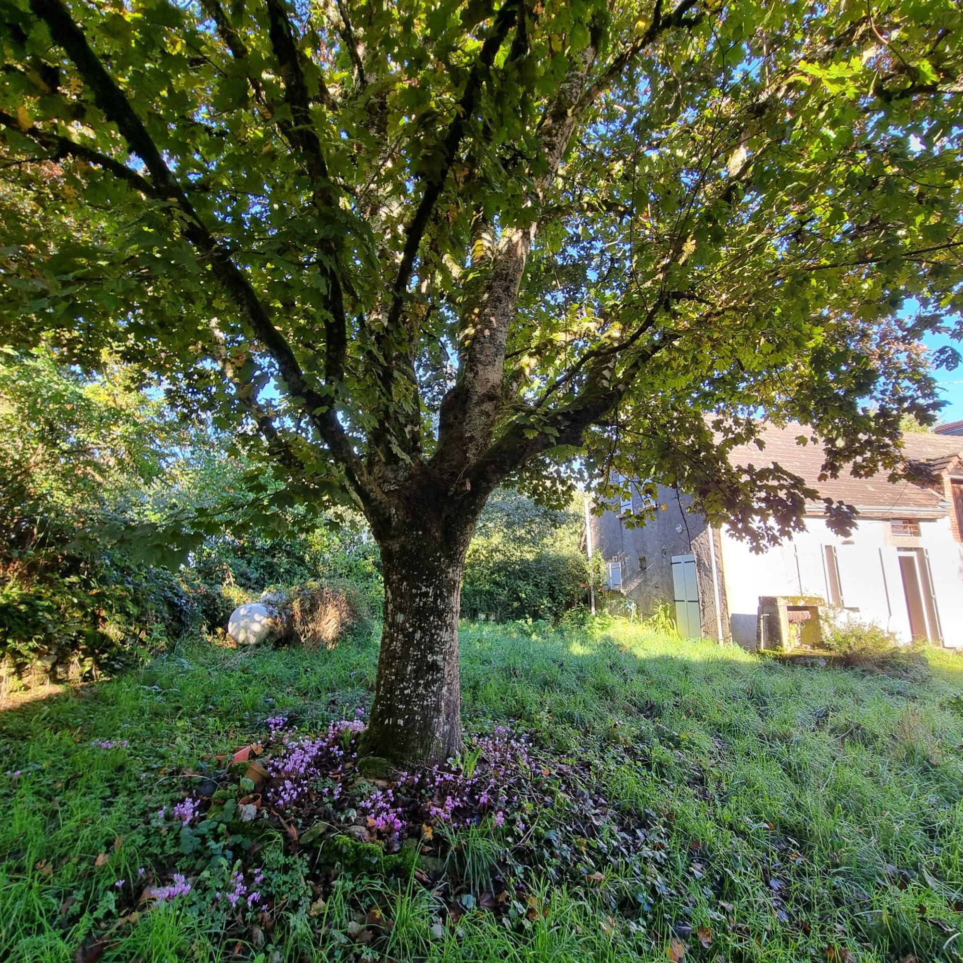 Photo 19 — HORIZON SUD BERRY IMMOBILIER - Châtre