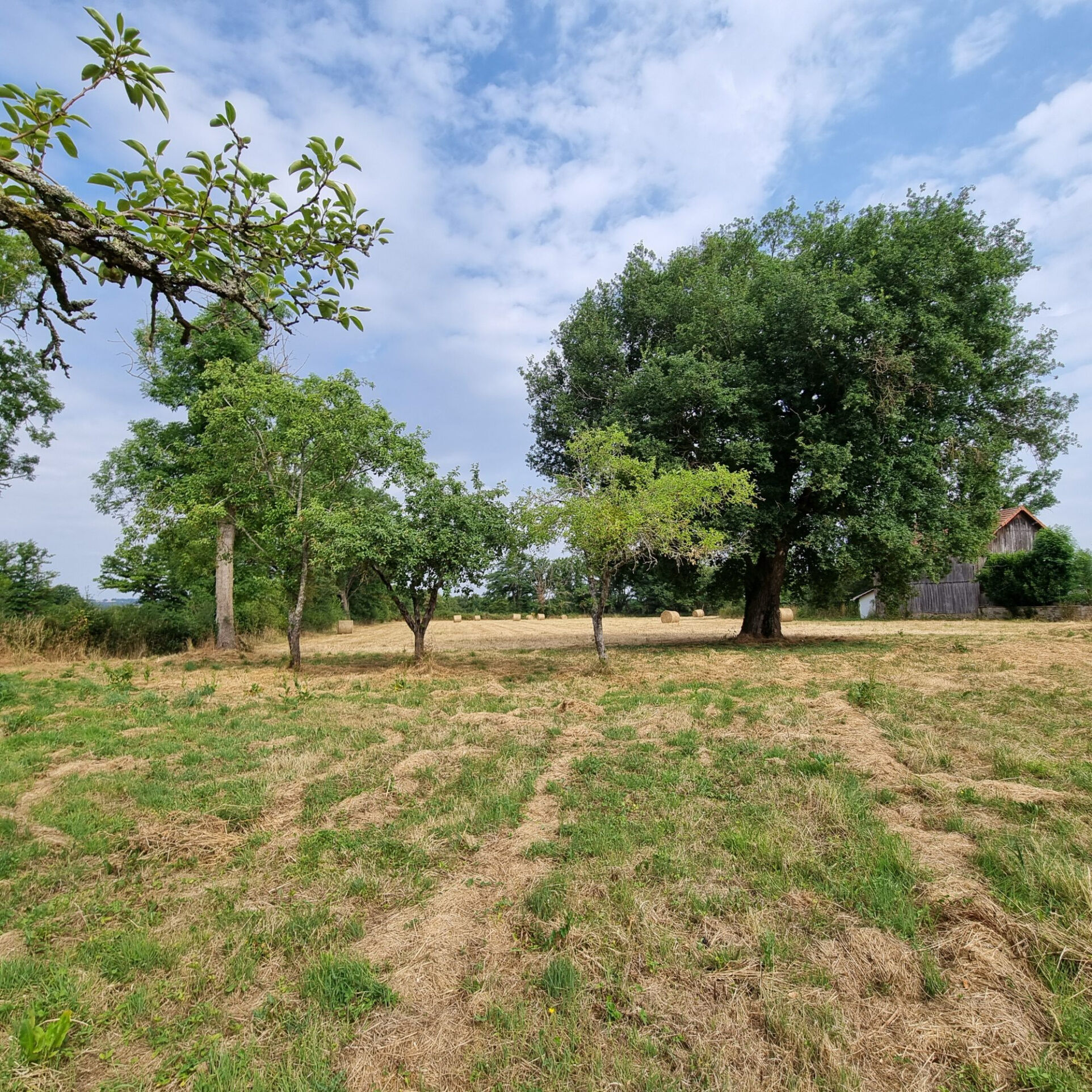 Photo 18 — HORIZON SUD BERRY IMMOBILIER - Châtre