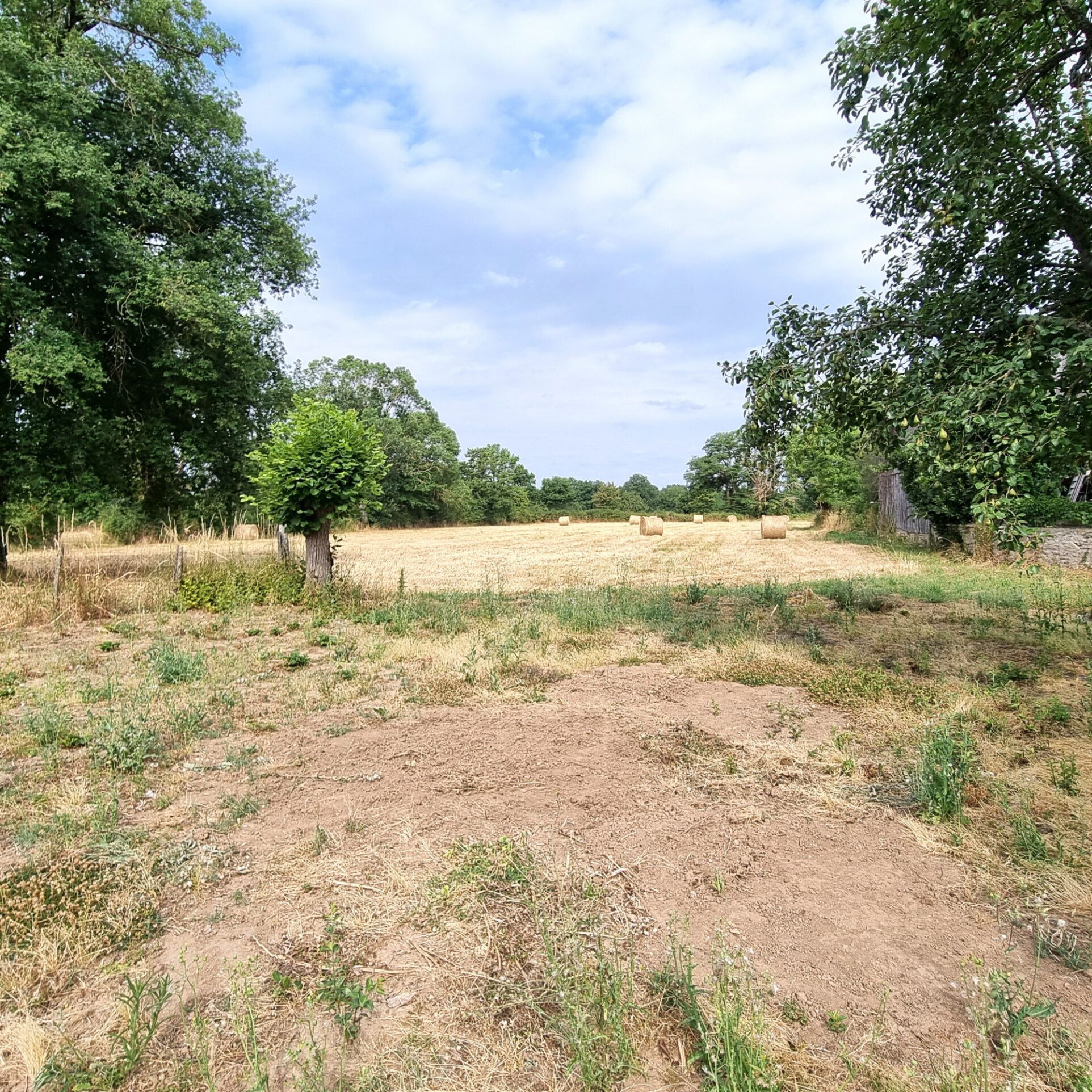 Photo 19 — HORIZON SUD BERRY IMMOBILIER - Châtre