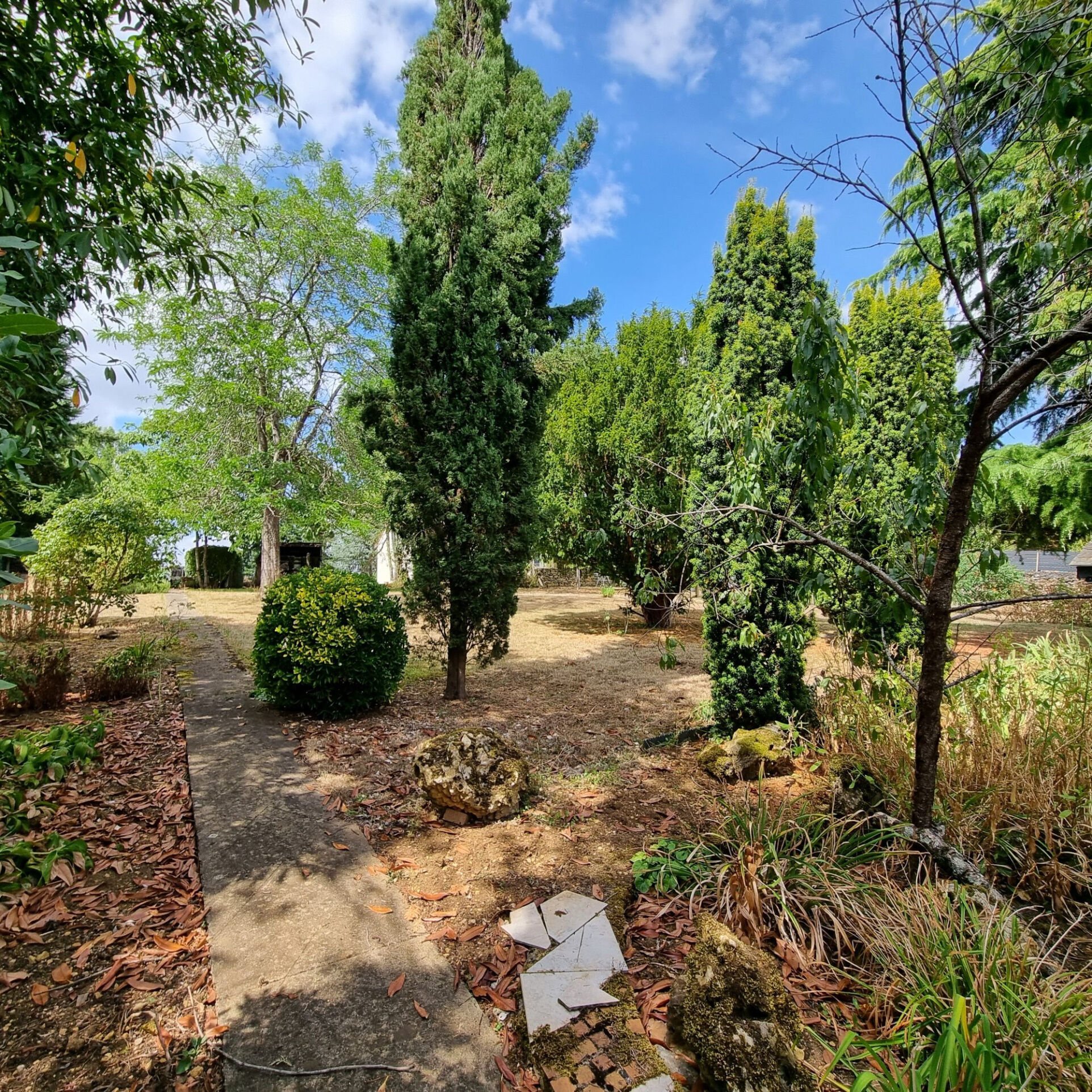 Photo 4 — HORIZON SUD BERRY IMMOBILIER - Châtre
