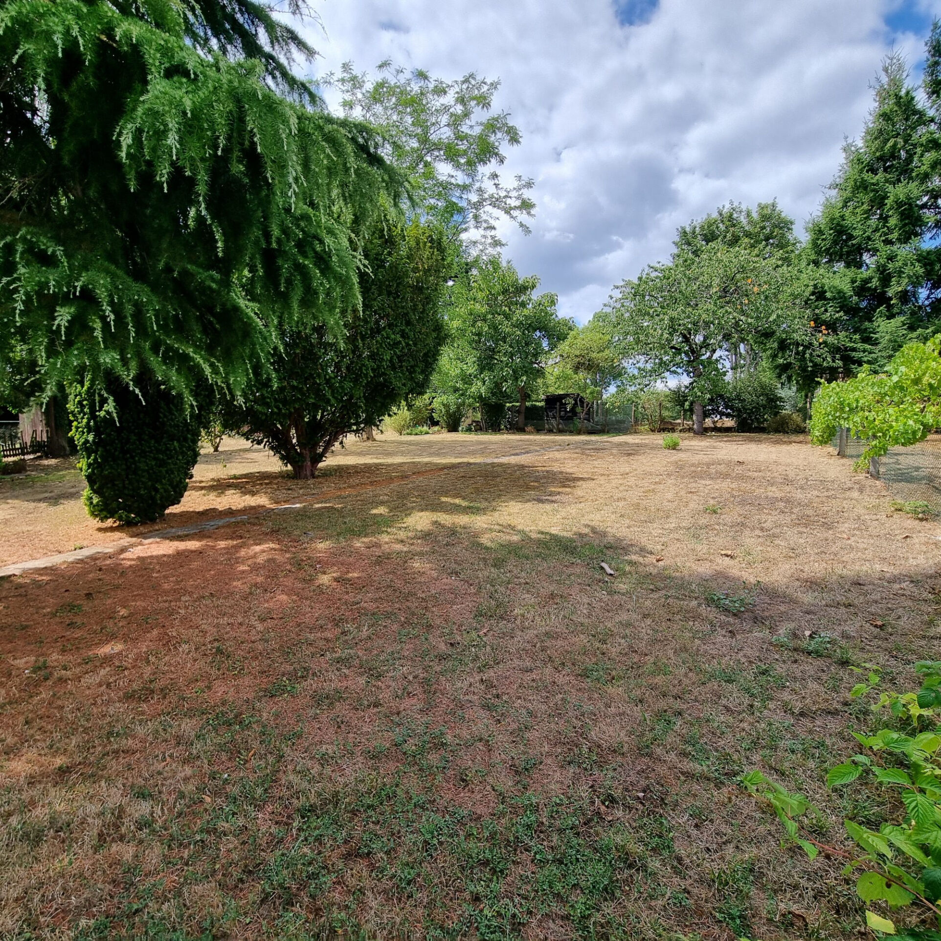 Photo 5 — HORIZON SUD BERRY IMMOBILIER - Châtre