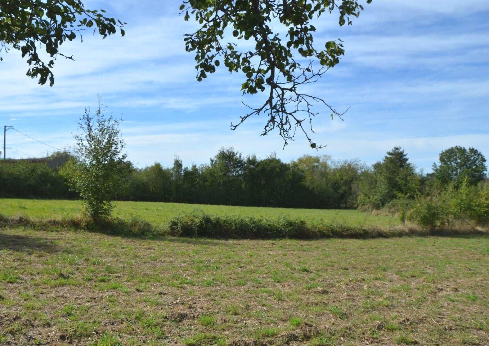Photo 4 — HORIZON SUD BERRY IMMOBILIER - Châtre
