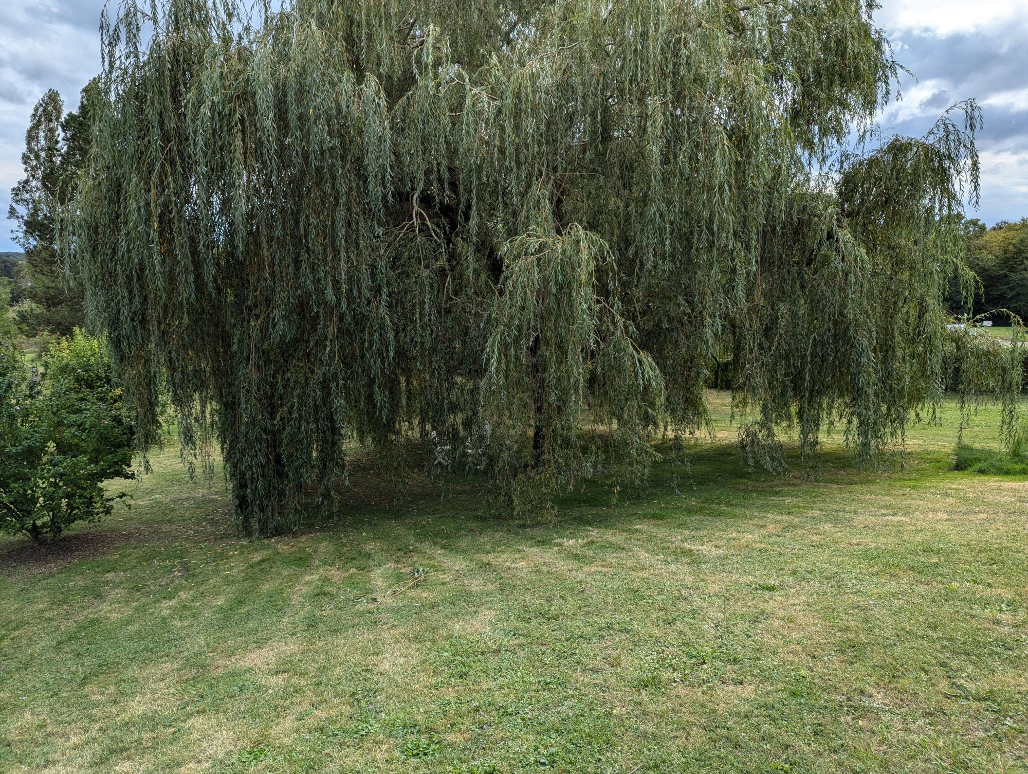 Photo 17 — HORIZON SUD BERRY IMMOBILIER - Châtre