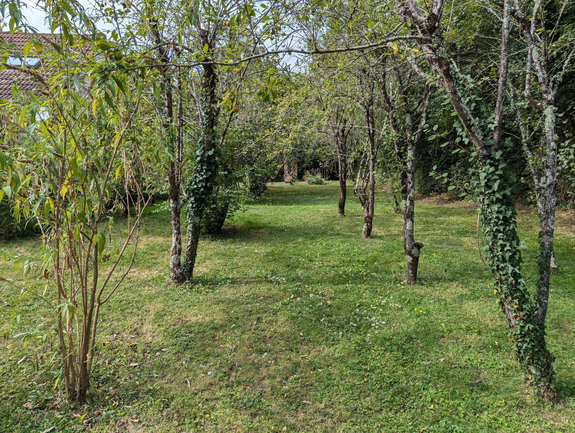 Photo 16 — HORIZON SUD BERRY IMMOBILIER - Châtre