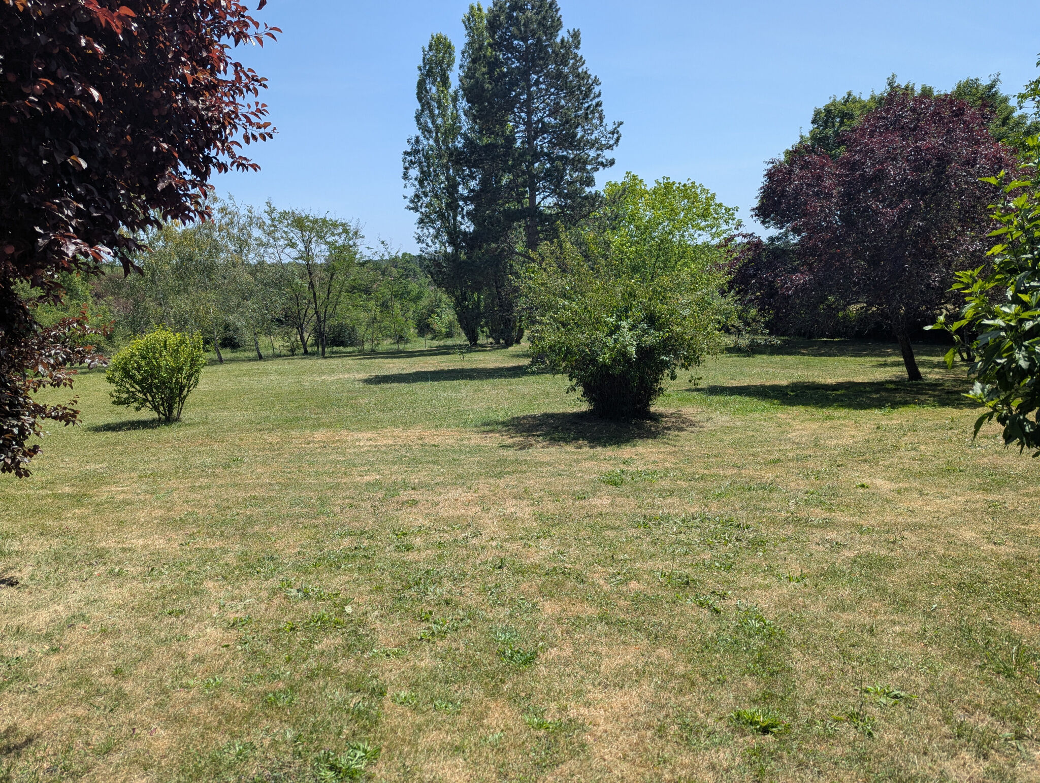 Photo 3 — HORIZON SUD BERRY IMMOBILIER - Châtre