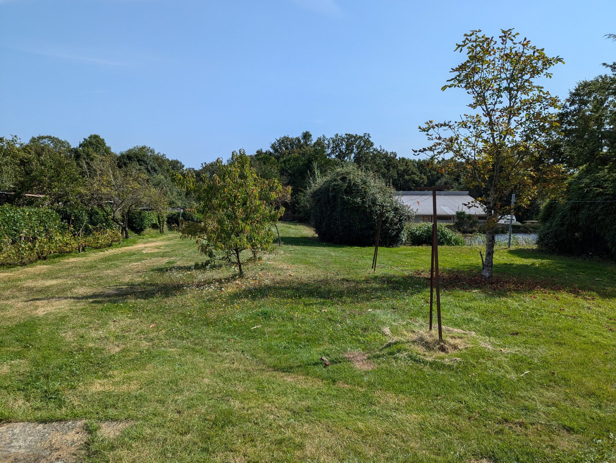 Photo 2 — HORIZON SUD BERRY IMMOBILIER - Châtre
