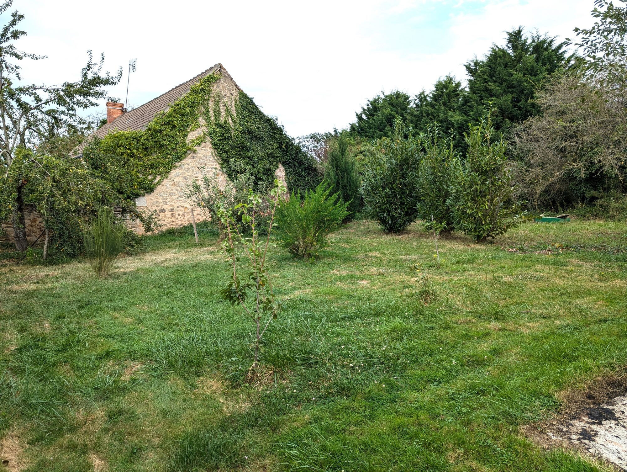 Photo 3 — HORIZON SUD BERRY IMMOBILIER - Châtre
