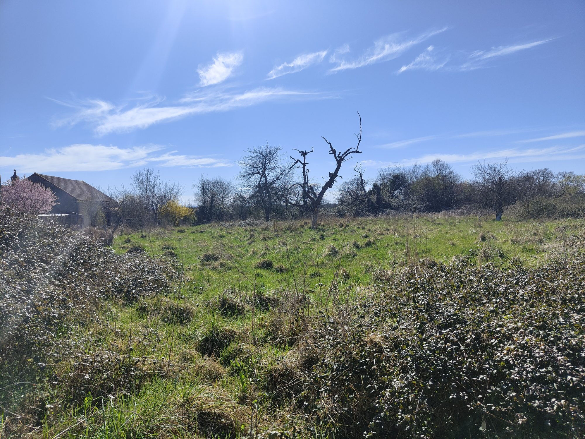 Photo 17 — HORIZON SUD BERRY IMMOBILIER - Châtre