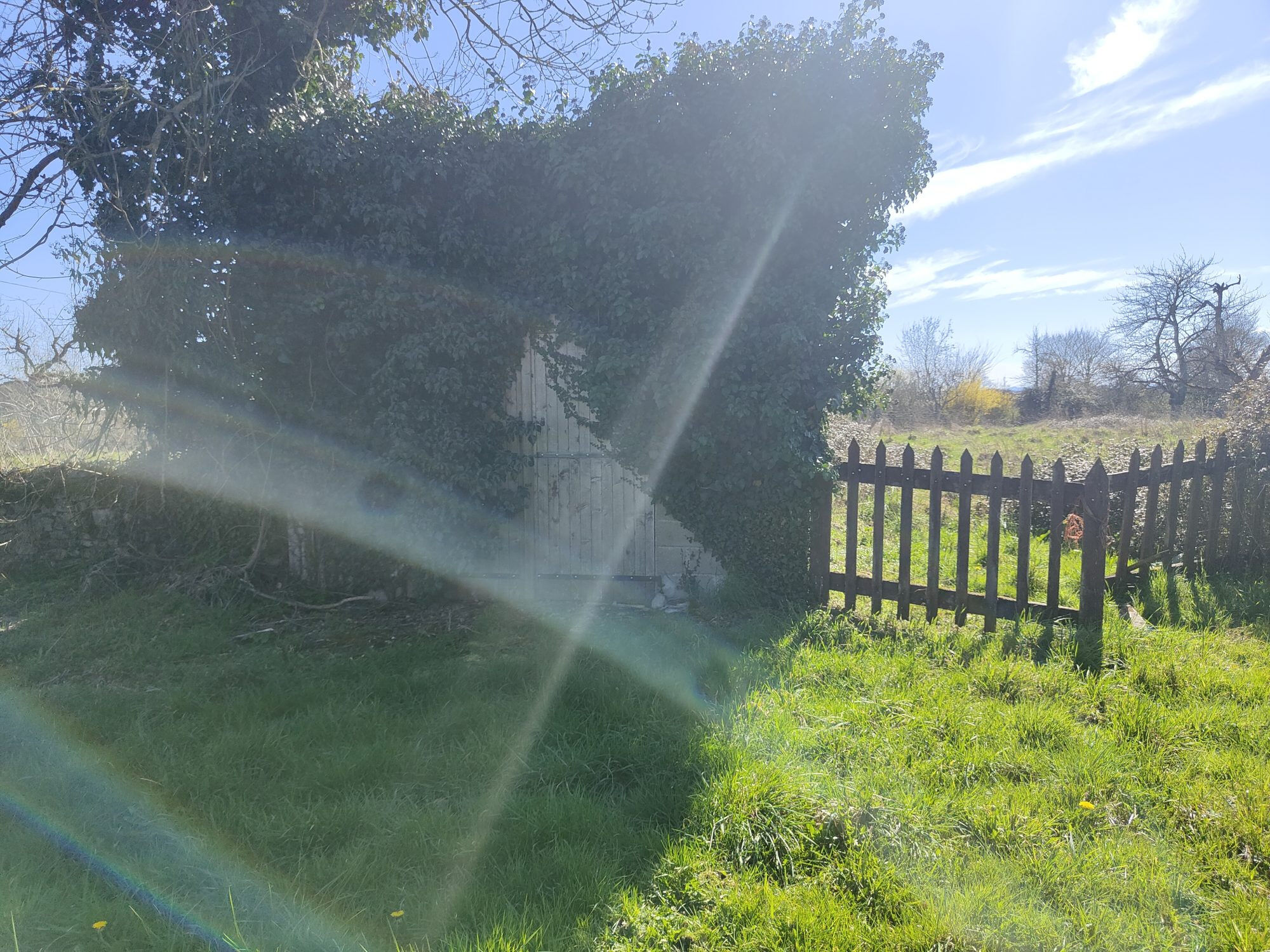 Photo 18 — HORIZON SUD BERRY IMMOBILIER - Châtre