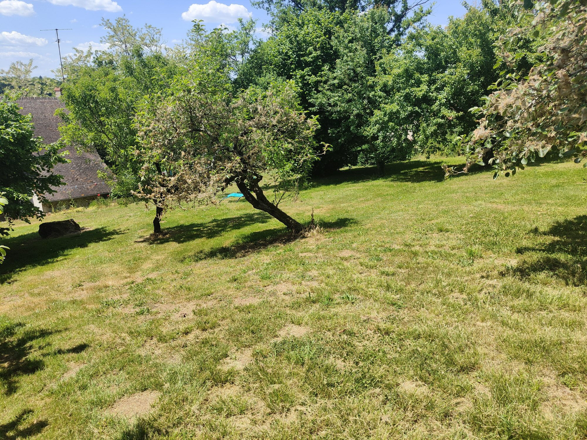 Photo 17 — HORIZON SUD BERRY IMMOBILIER - Châtre