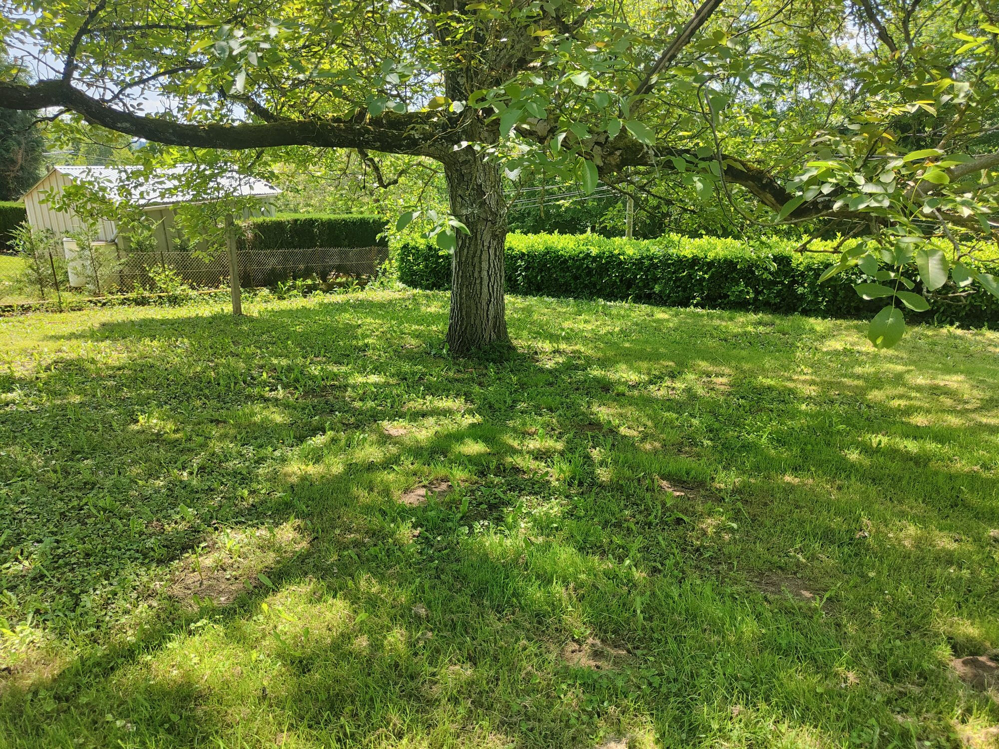 Photo 20 — HORIZON SUD BERRY IMMOBILIER - Châtre