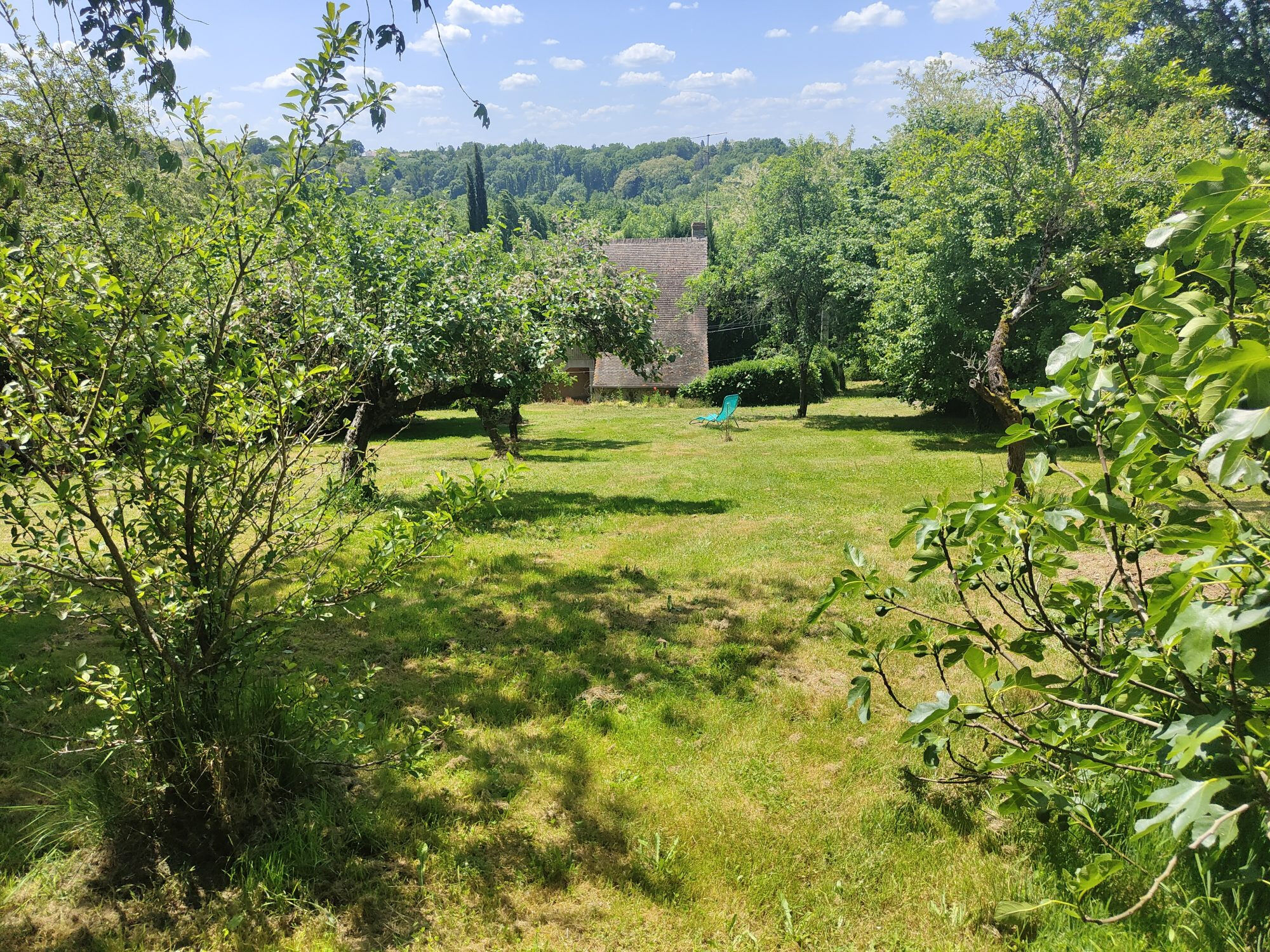 Photo 16 — HORIZON SUD BERRY IMMOBILIER - Châtre