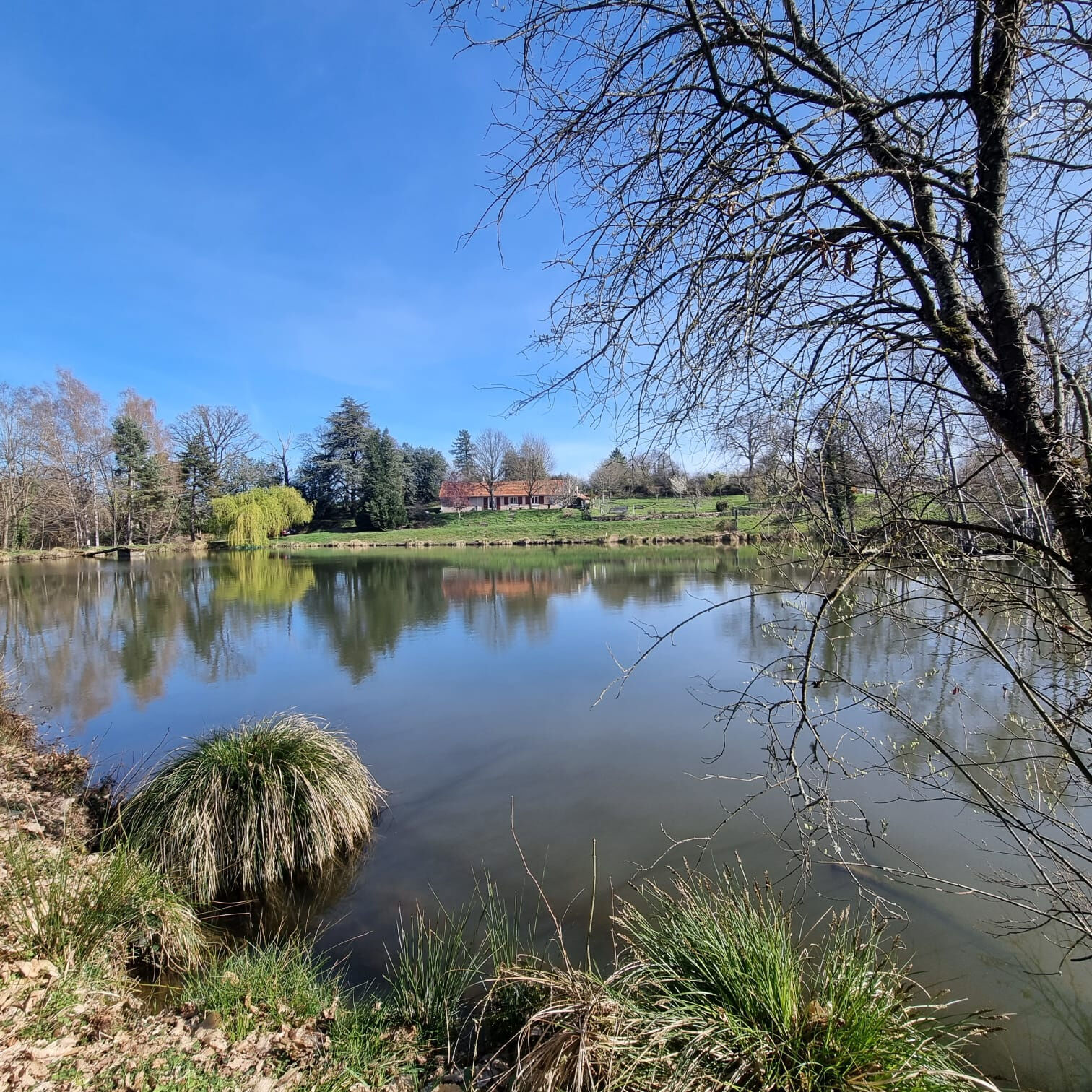 Photo 18 — HORIZON SUD BERRY IMMOBILIER - Châtre