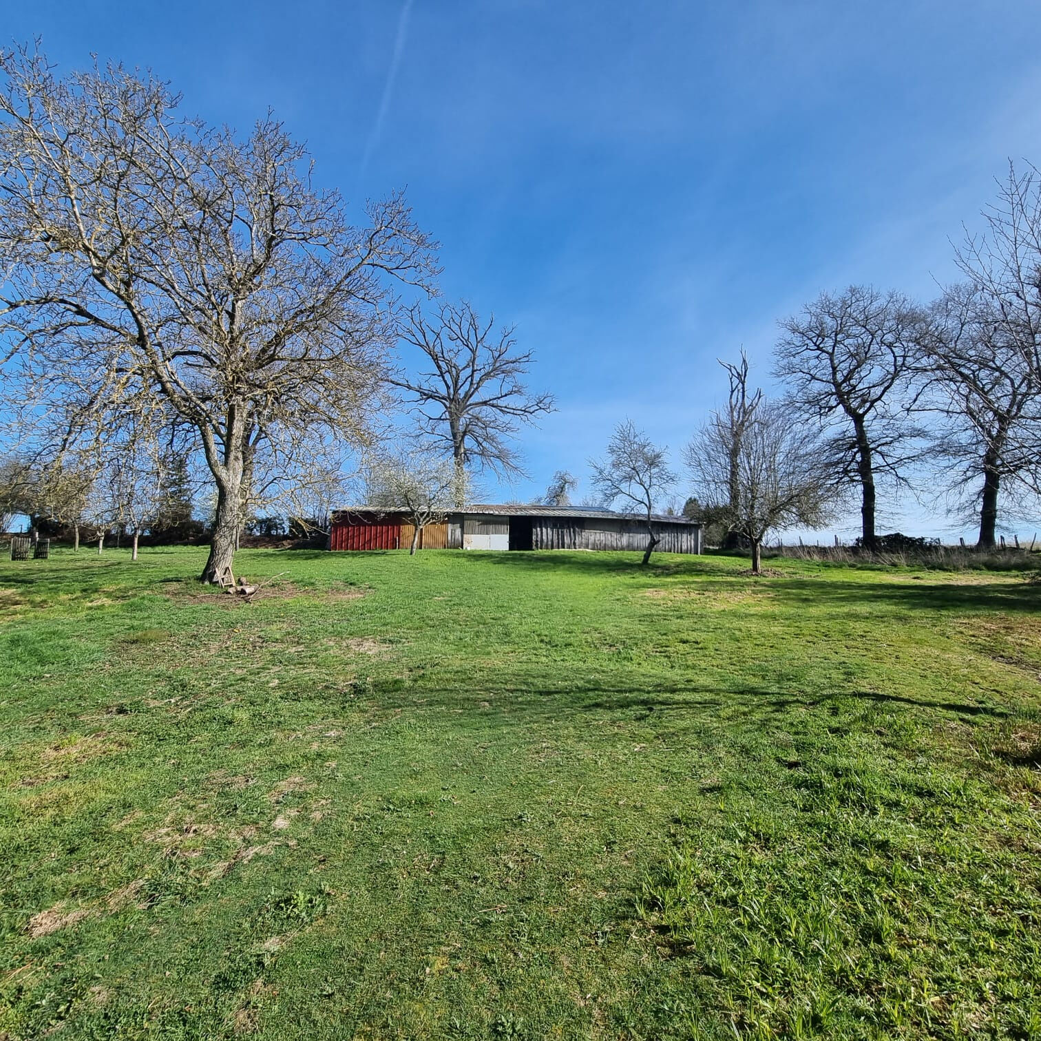Photo 16 — HORIZON SUD BERRY IMMOBILIER - Châtre