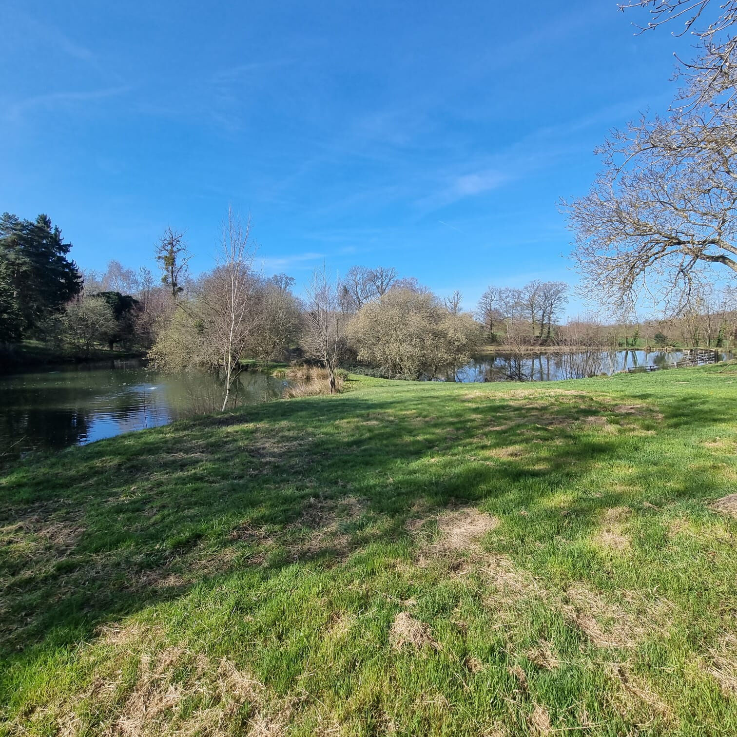 Photo 2 — HORIZON SUD BERRY IMMOBILIER - Châtre