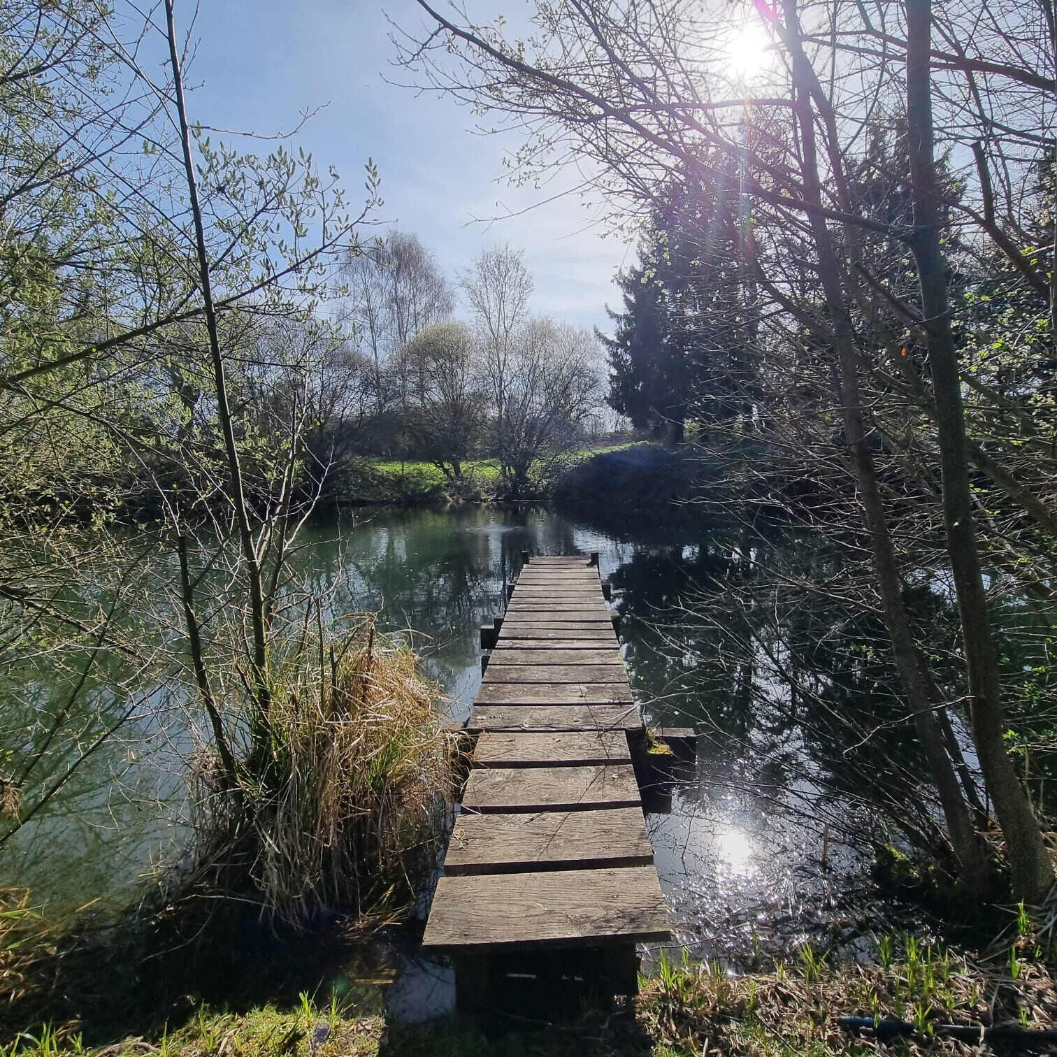 Photo 19 — HORIZON SUD BERRY IMMOBILIER - Châtre