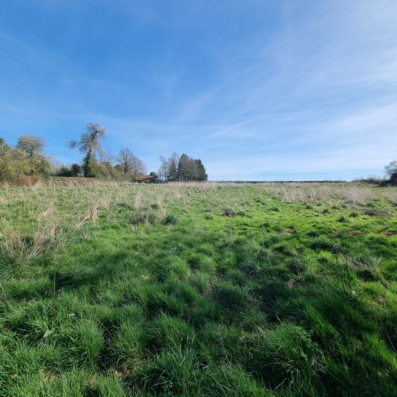 Photo 17 — HORIZON SUD BERRY IMMOBILIER - Châtre