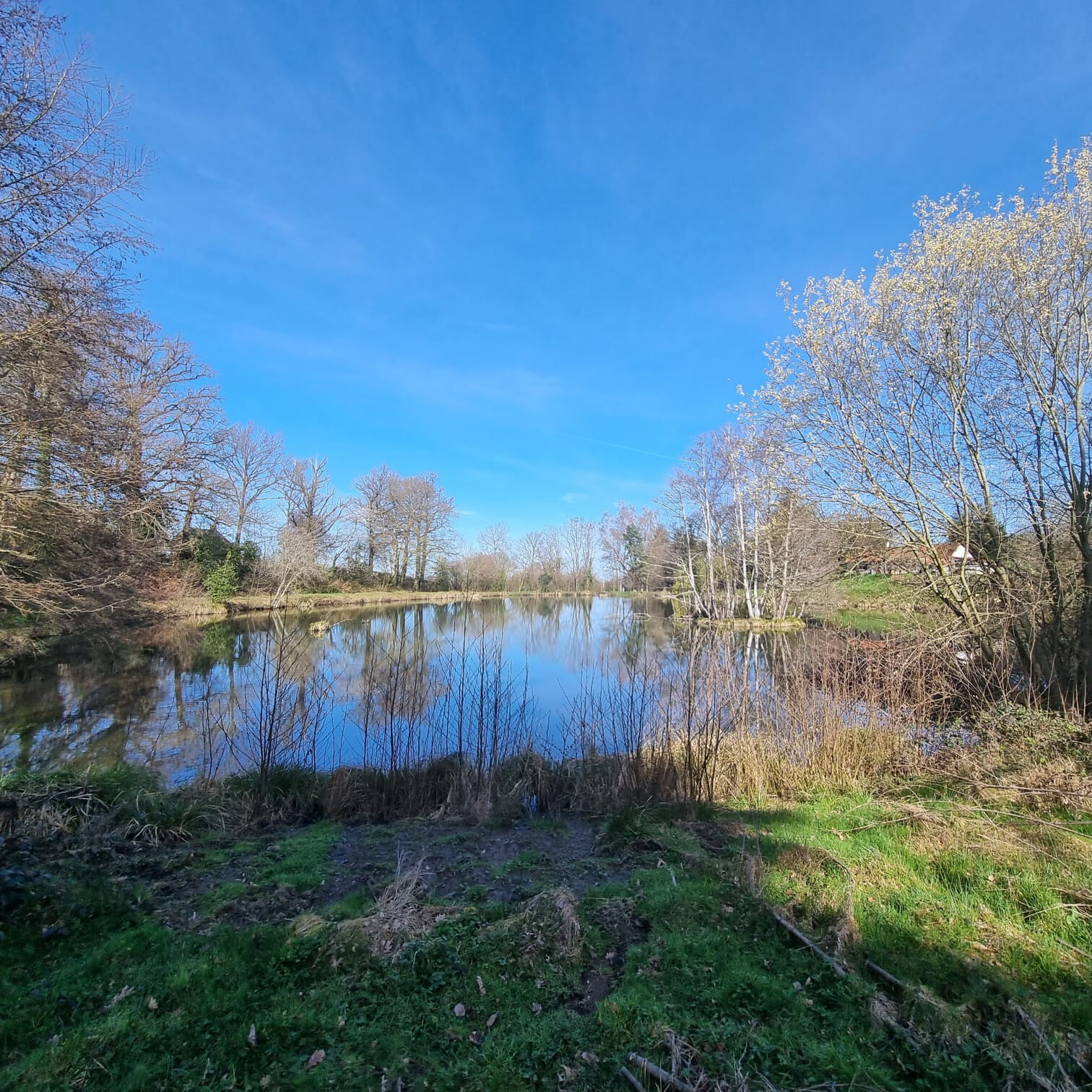 Photo 20 — HORIZON SUD BERRY IMMOBILIER - Châtre