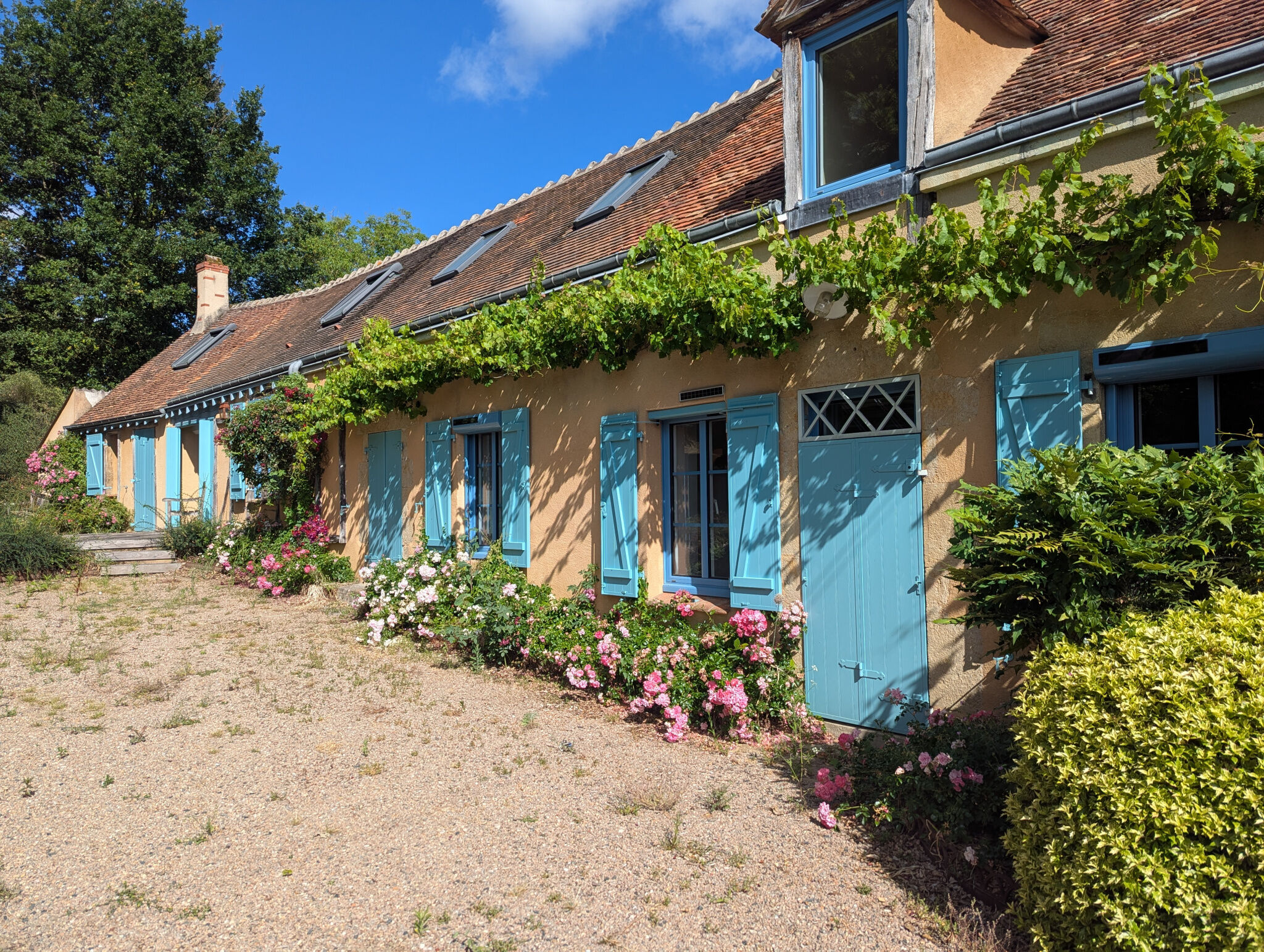 Photo 2 — HORIZON SUD BERRY IMMOBILIER - Châtre