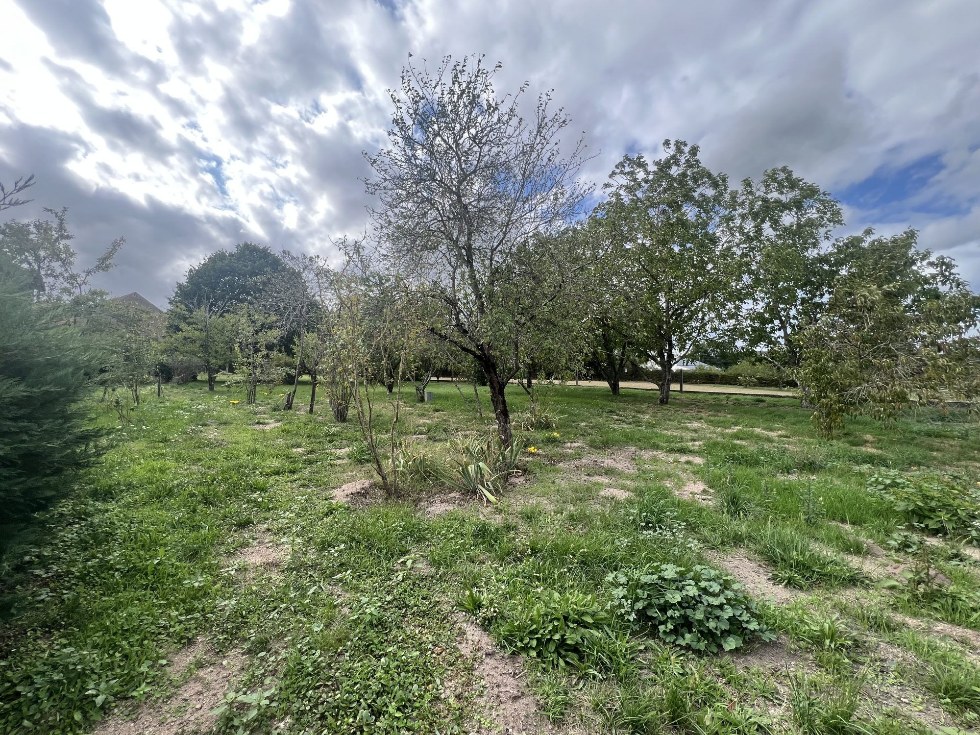 Photo 4 — HORIZON SUD BERRY IMMOBILIER - Châtre
