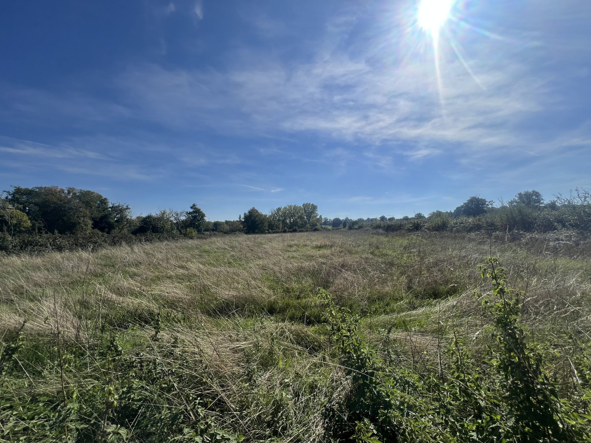 Photo 18 — HORIZON SUD BERRY IMMOBILIER - Châtre