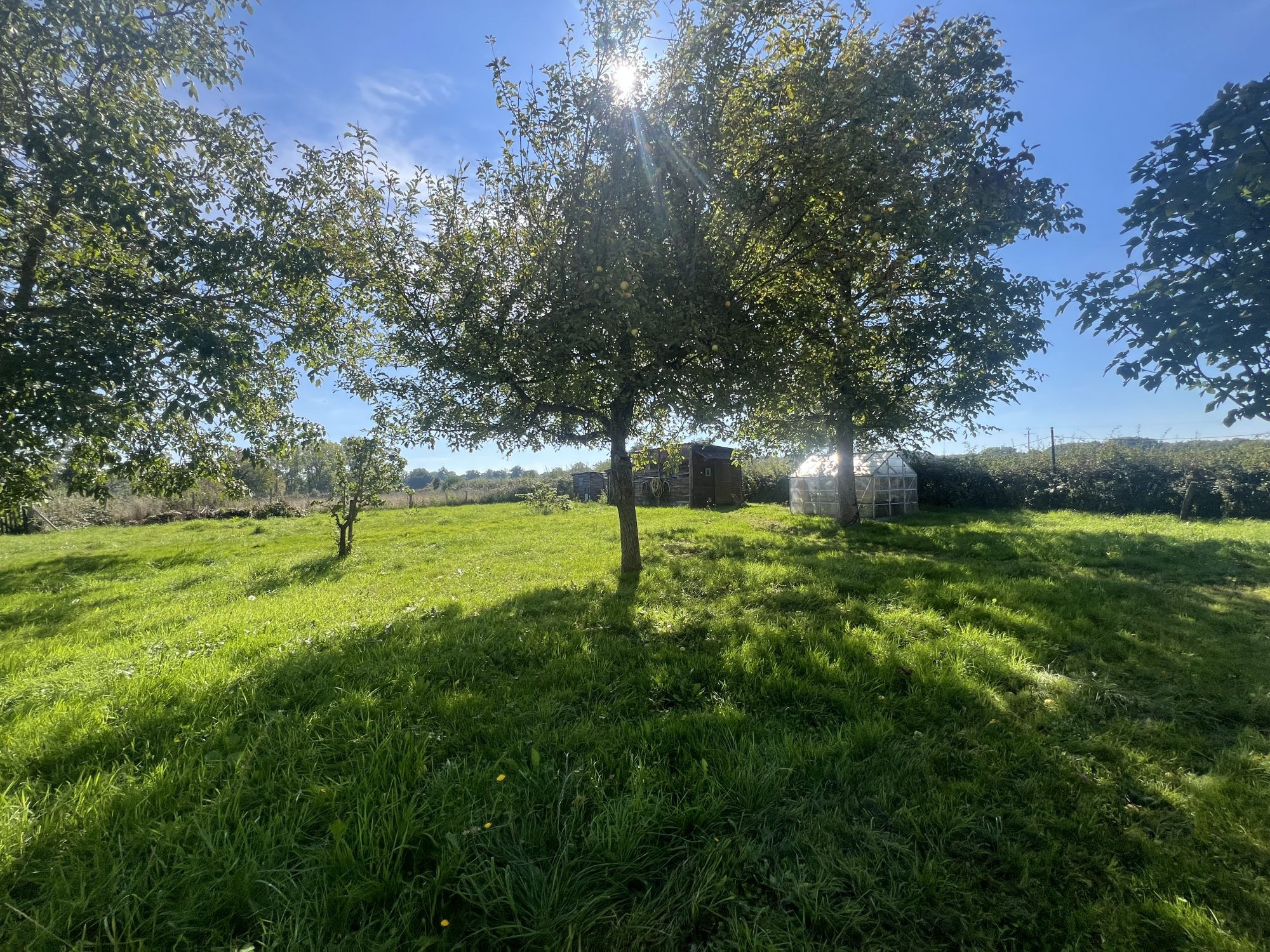 Photo 19 — HORIZON SUD BERRY IMMOBILIER - Châtre