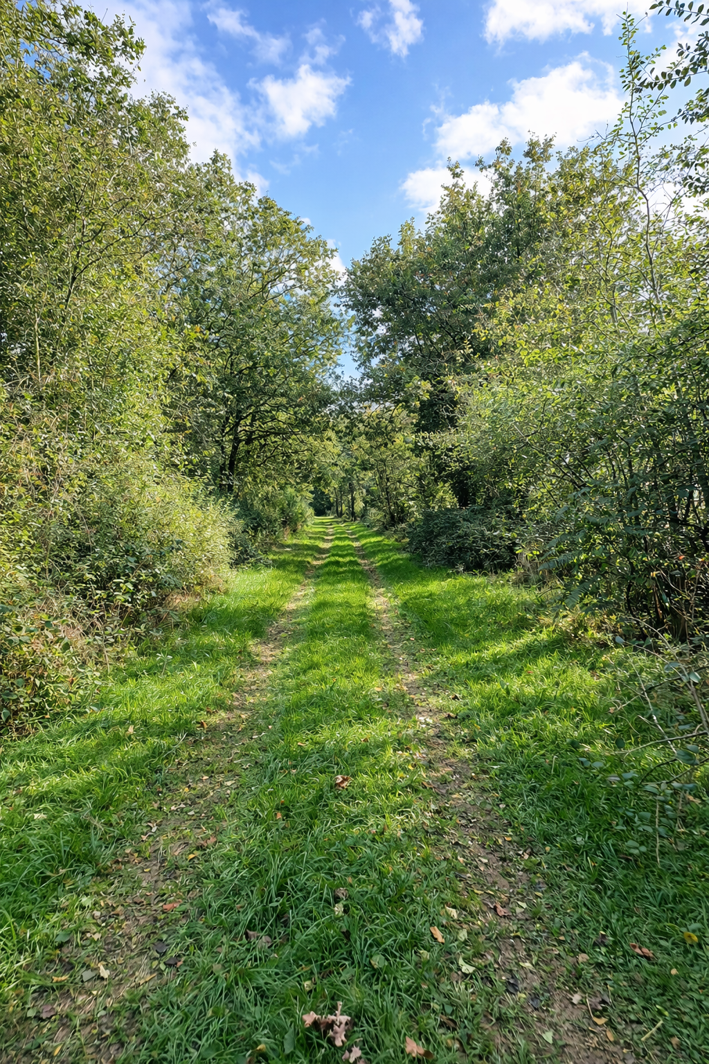 Photo 20 — HORIZON SUD BERRY IMMOBILIER - Châtre