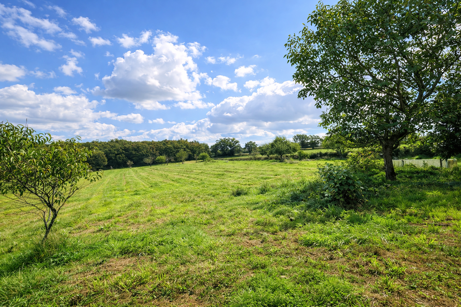 Photo 4 — HORIZON SUD BERRY IMMOBILIER - Châtre