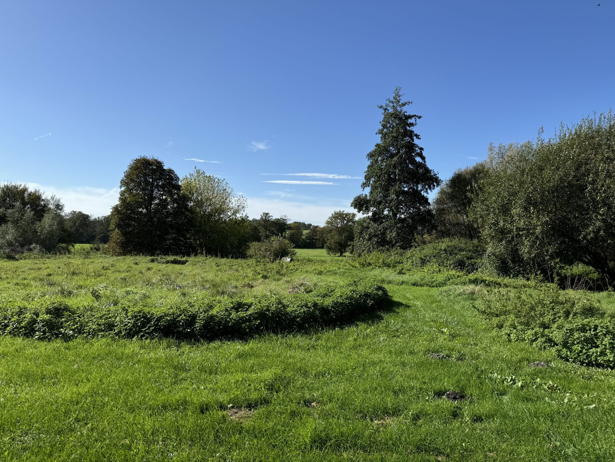Photo 8 — HORIZON SUD BERRY IMMOBILIER - Châtre