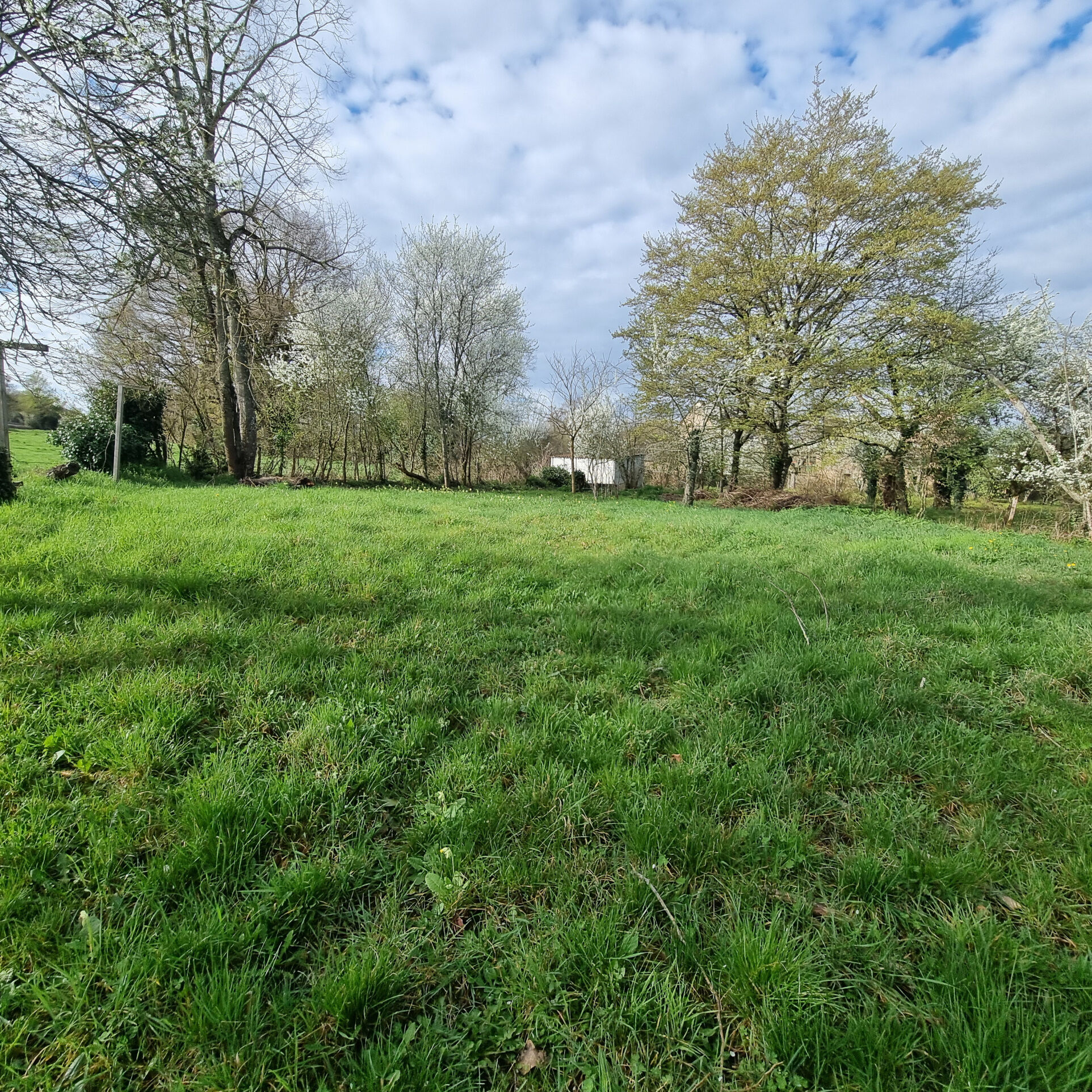 Photo 16 — HORIZON SUD BERRY IMMOBILIER - Châtre