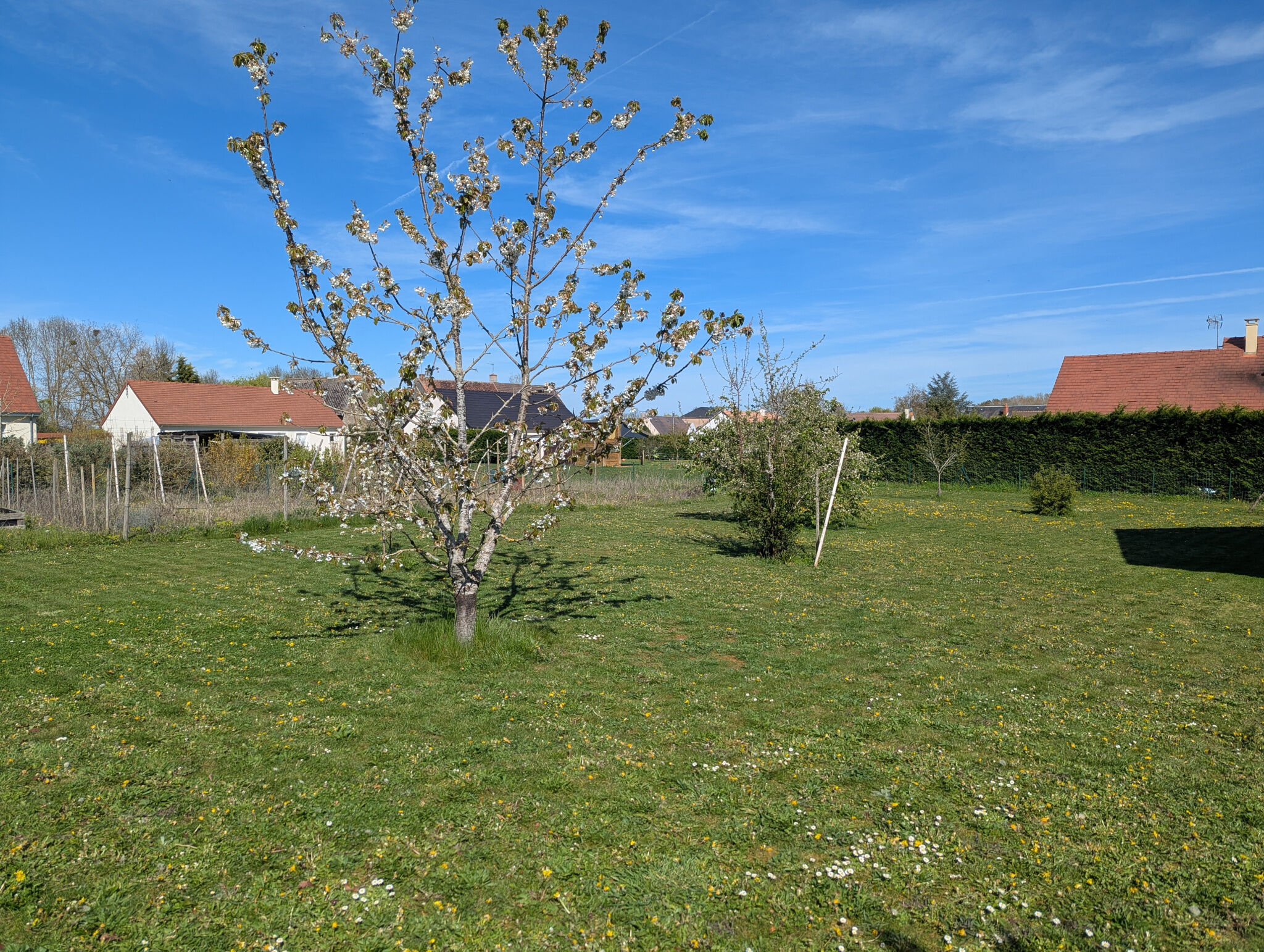 Photo 2 — HORIZON SUD BERRY IMMOBILIER - Châtre