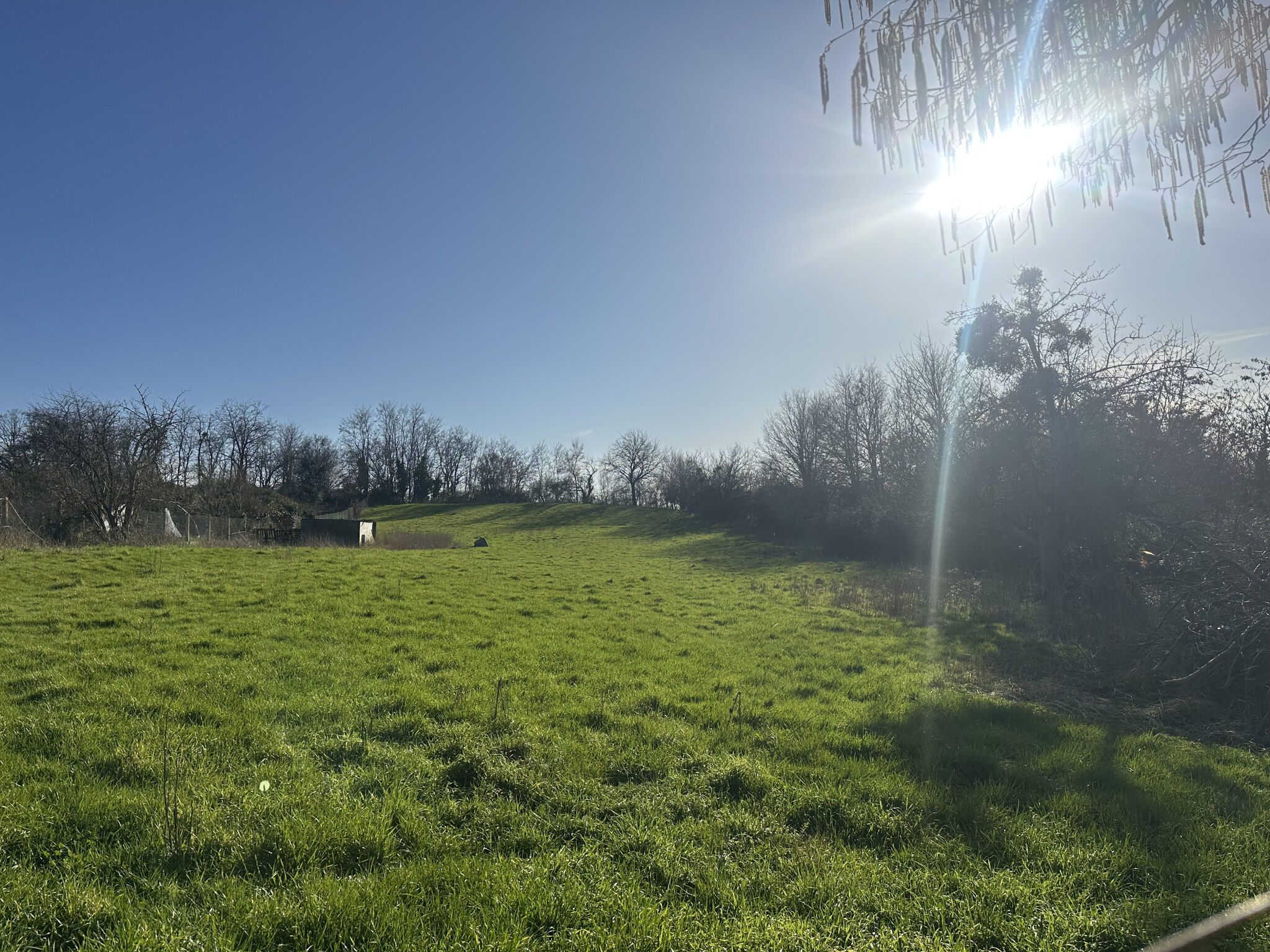 Photo 19 — HORIZON SUD BERRY IMMOBILIER - Châtre